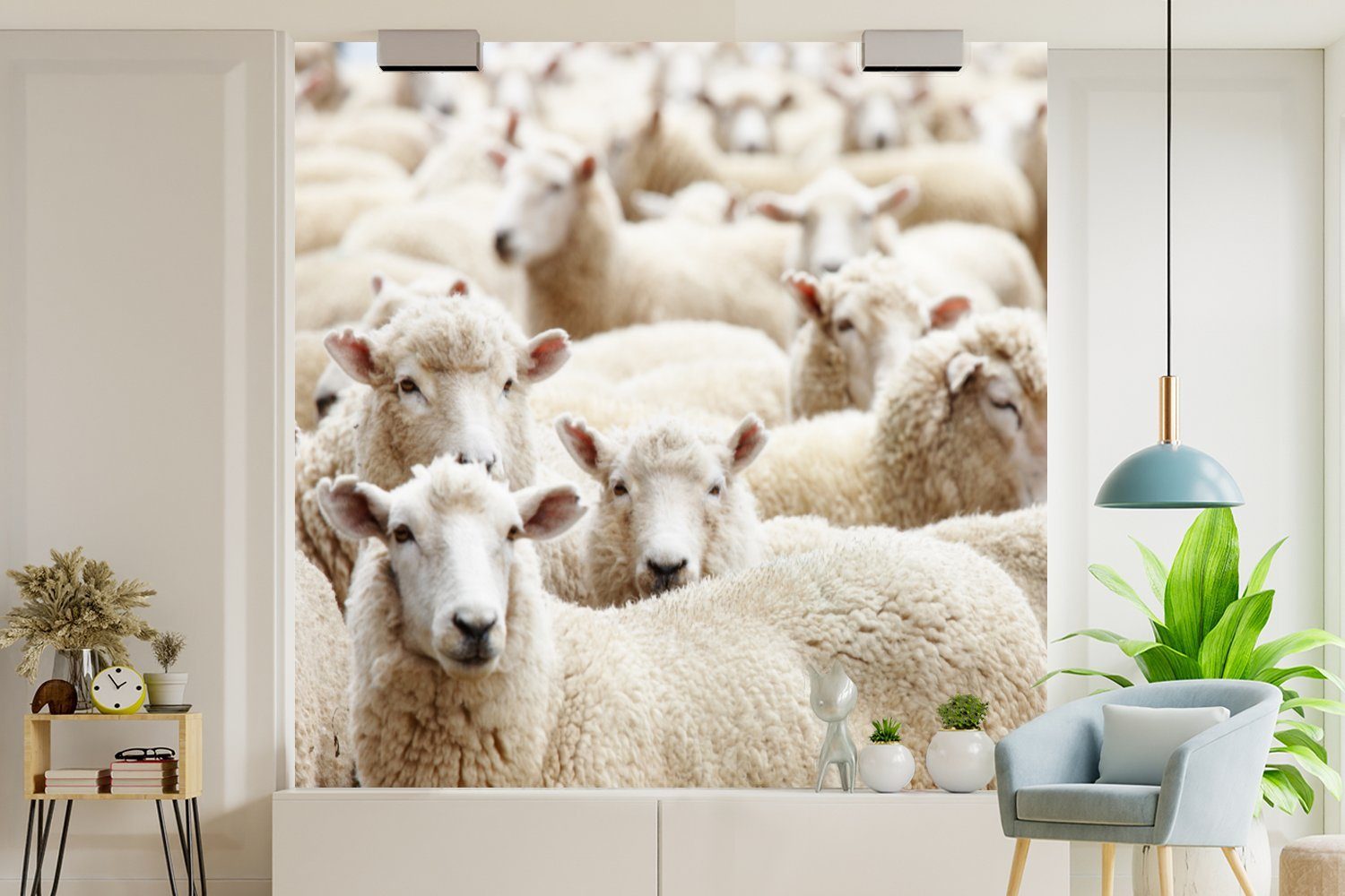 Schafe Weiß, Tapete Vinyl - oder für MuchoWow bedruckt, Wandtapete Schlafzimmer, (5 Matt, - Wohnzimmer Wolle Fototapete St),