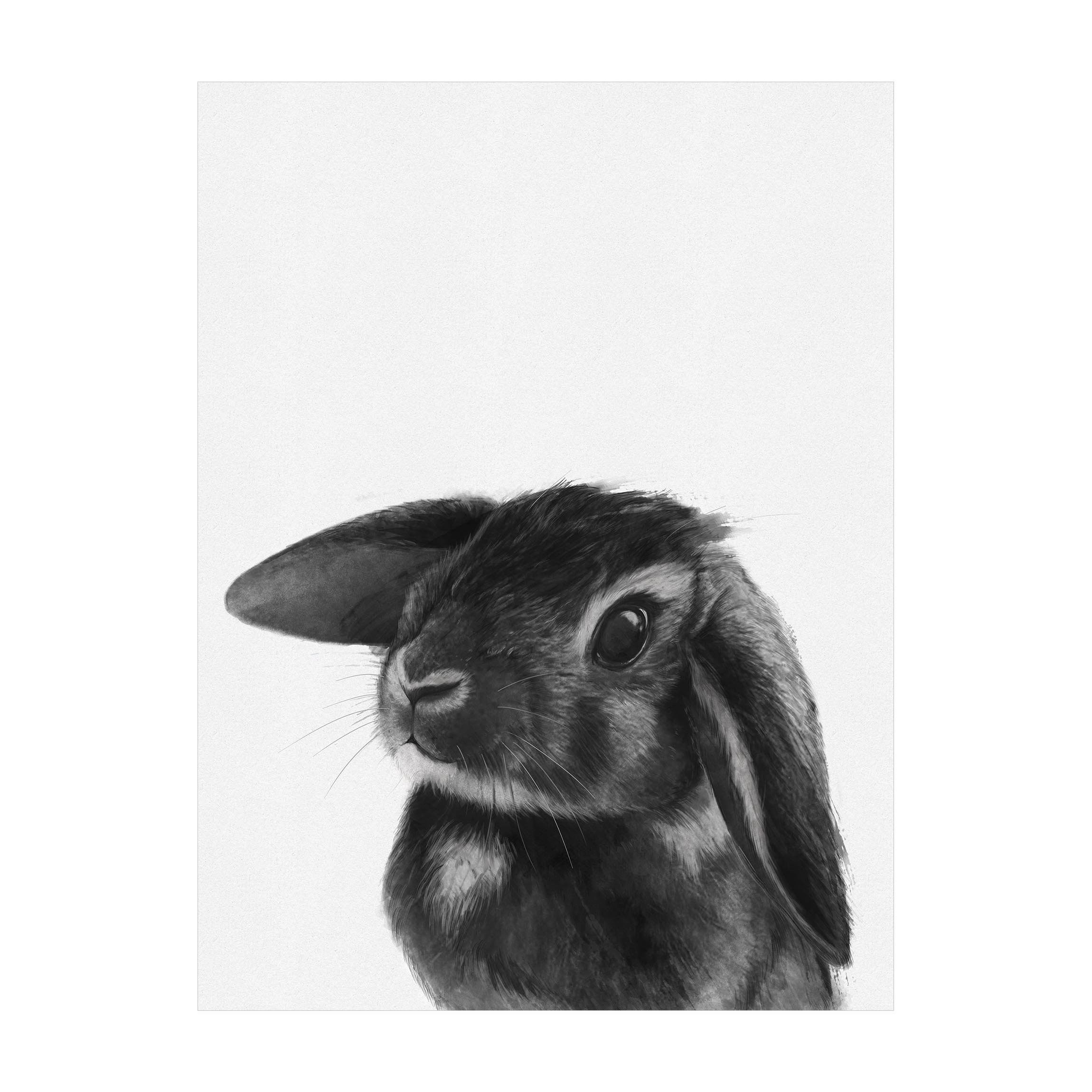 Bilderdepot24 Teppich Vinyl Kinderzimmer Tiere Hase Mädchen Jungen funktional, rechteckig - schwarz weiß glatt, nass wischbar (Saft, Tierhaare) - Saugroboter & Bodenheizung geeignet