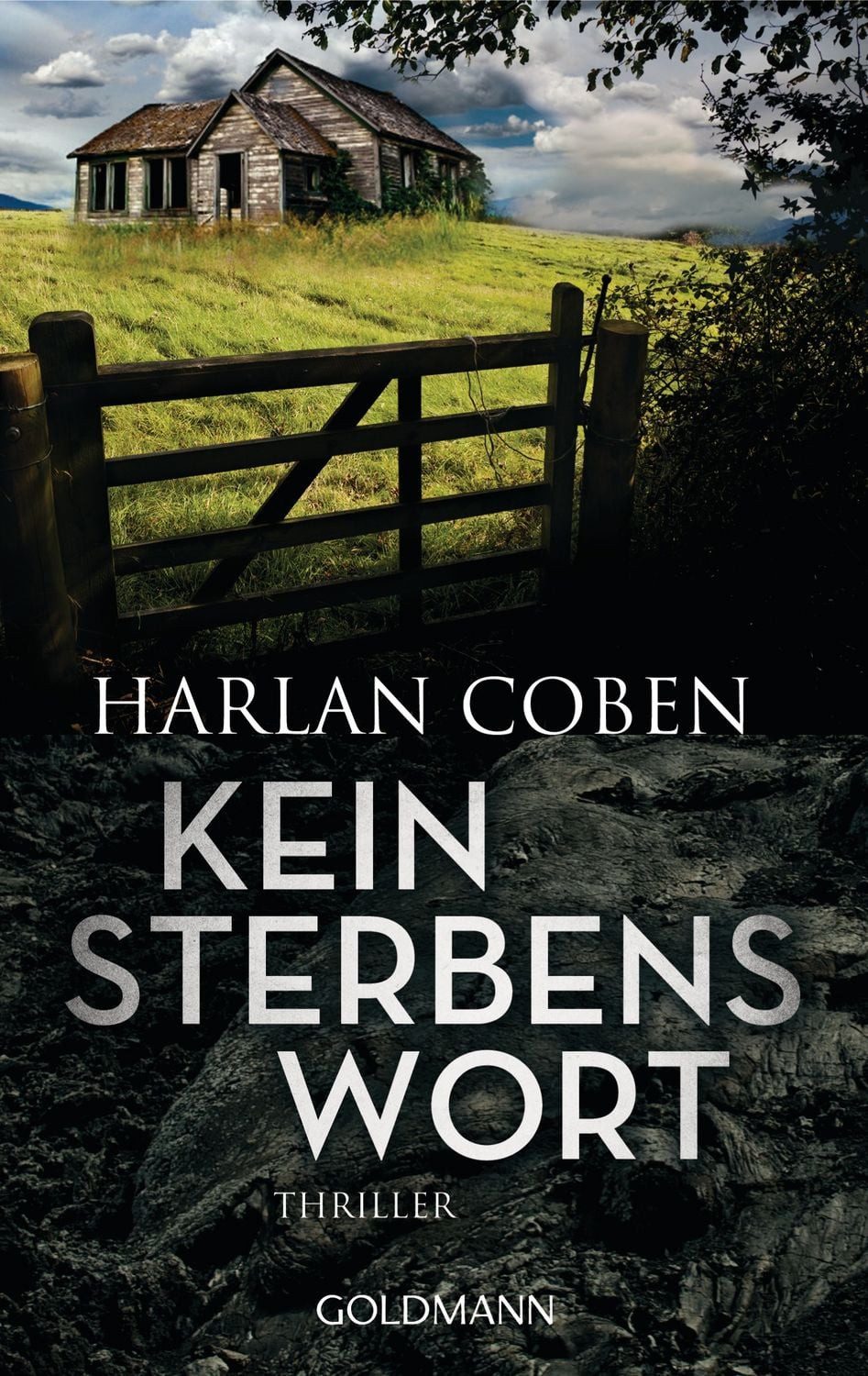 Kein Sterbenswort / Harlan Coben
