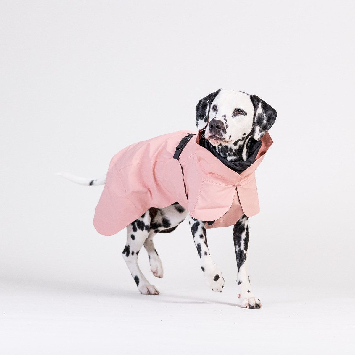 PAIKKA Hunderegenmantel Hunde Regenmantel leicht & reflektierend "Visibility Raincoat Lite r