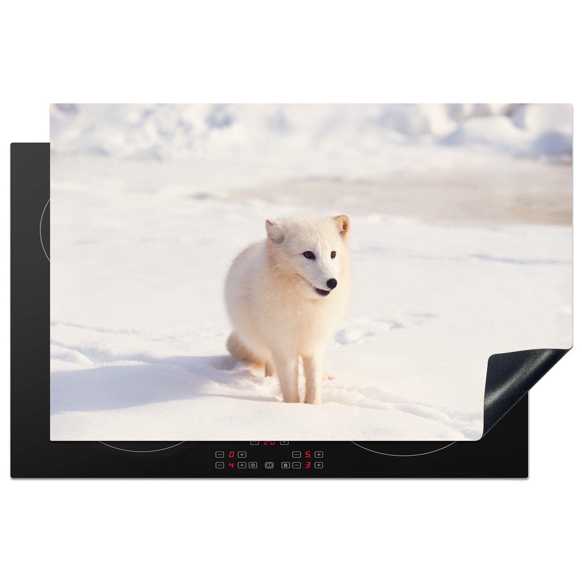 MuchoWow Herdblende-/Abdeckplatte Fuchs - Schnee - Weiß, Vinyl, (1 tlg), 81x52 cm, Induktionskochfeld Schutz für die küche, Ceranfeldabdeckung | Herdabdeckplatten