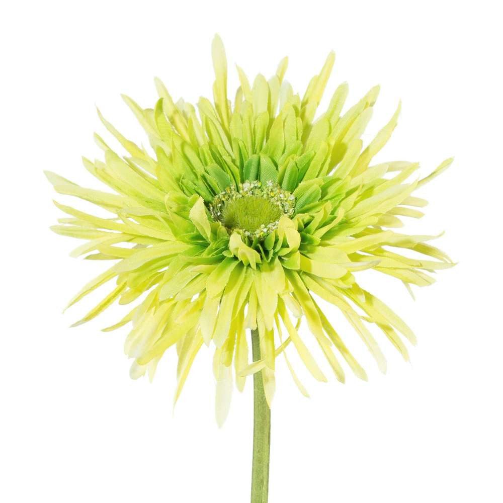 Kunstblume Kunstblume, Seidenblume GERBERA gefüllt 57cm, Gasper, Höhe 57.00 cm