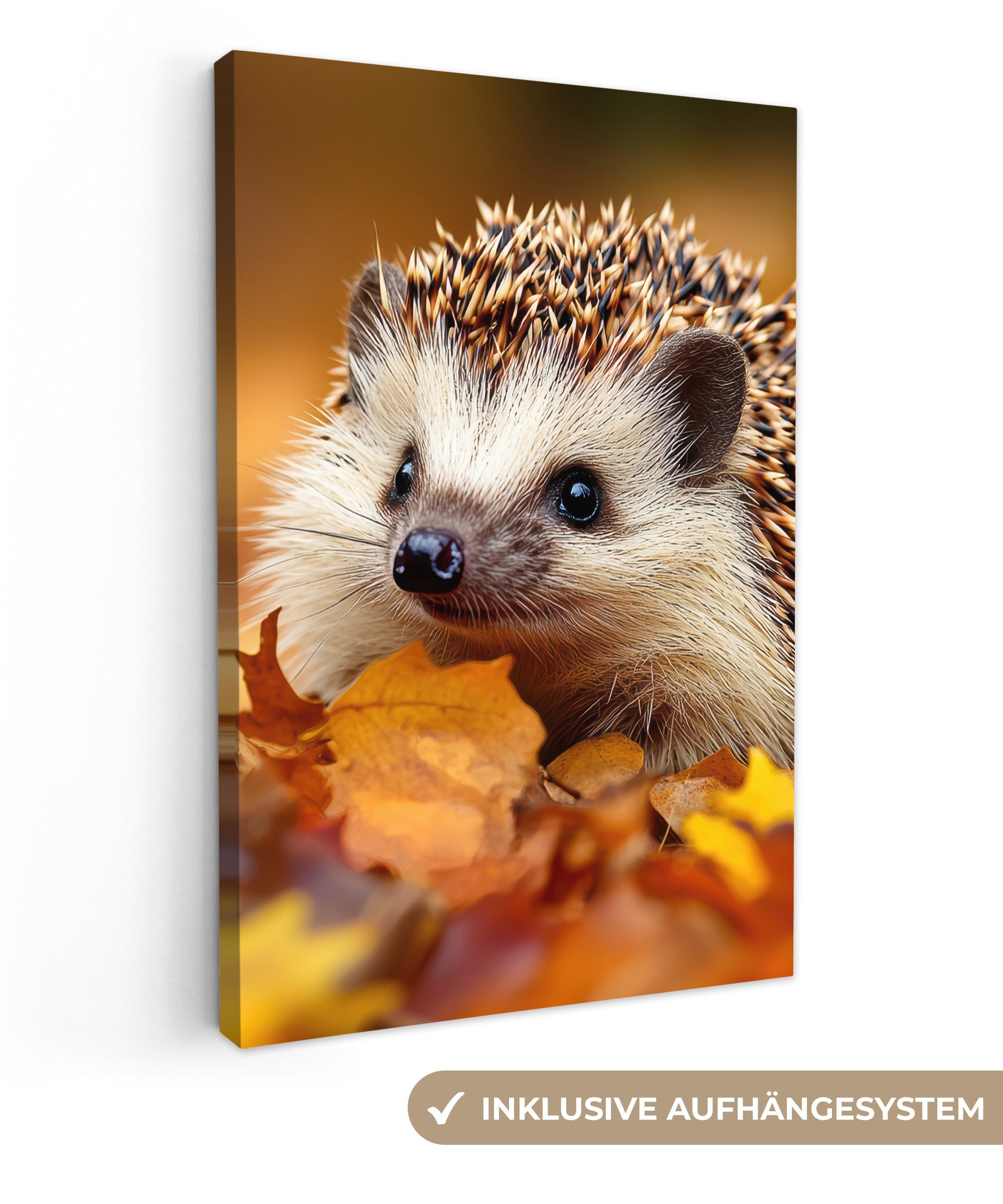OneMillionCanvasses® Leinwandbild Igel - Wald - Herbstblätter - Herbst - Wa günstig online kaufen