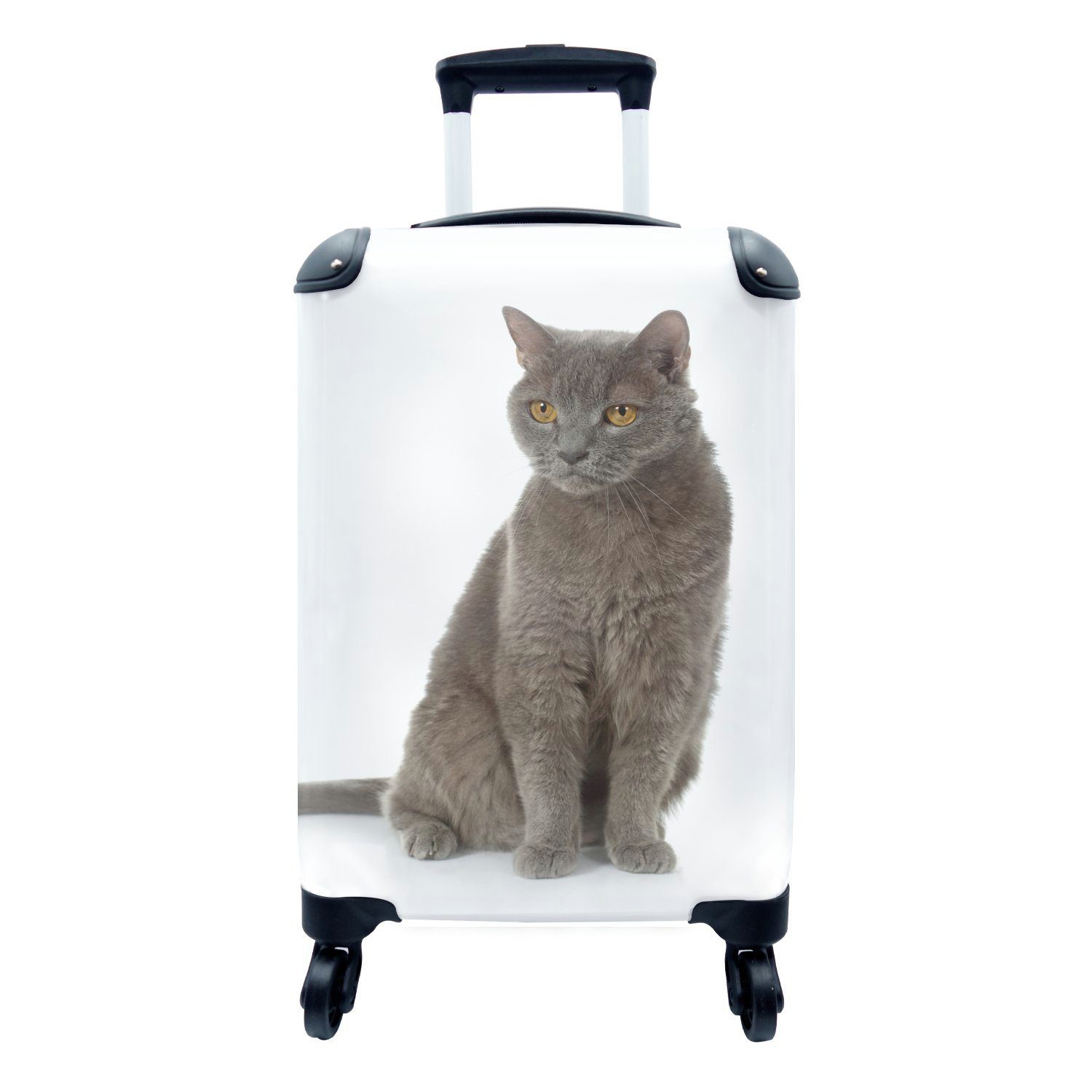 MuchoWow Handgepäckkoffer Graue Katze auf weißem Hintergrund, 4 Rollen, Reisetasche mit rollen, Handgepäck für Ferien, Trolley, Reisekoffer