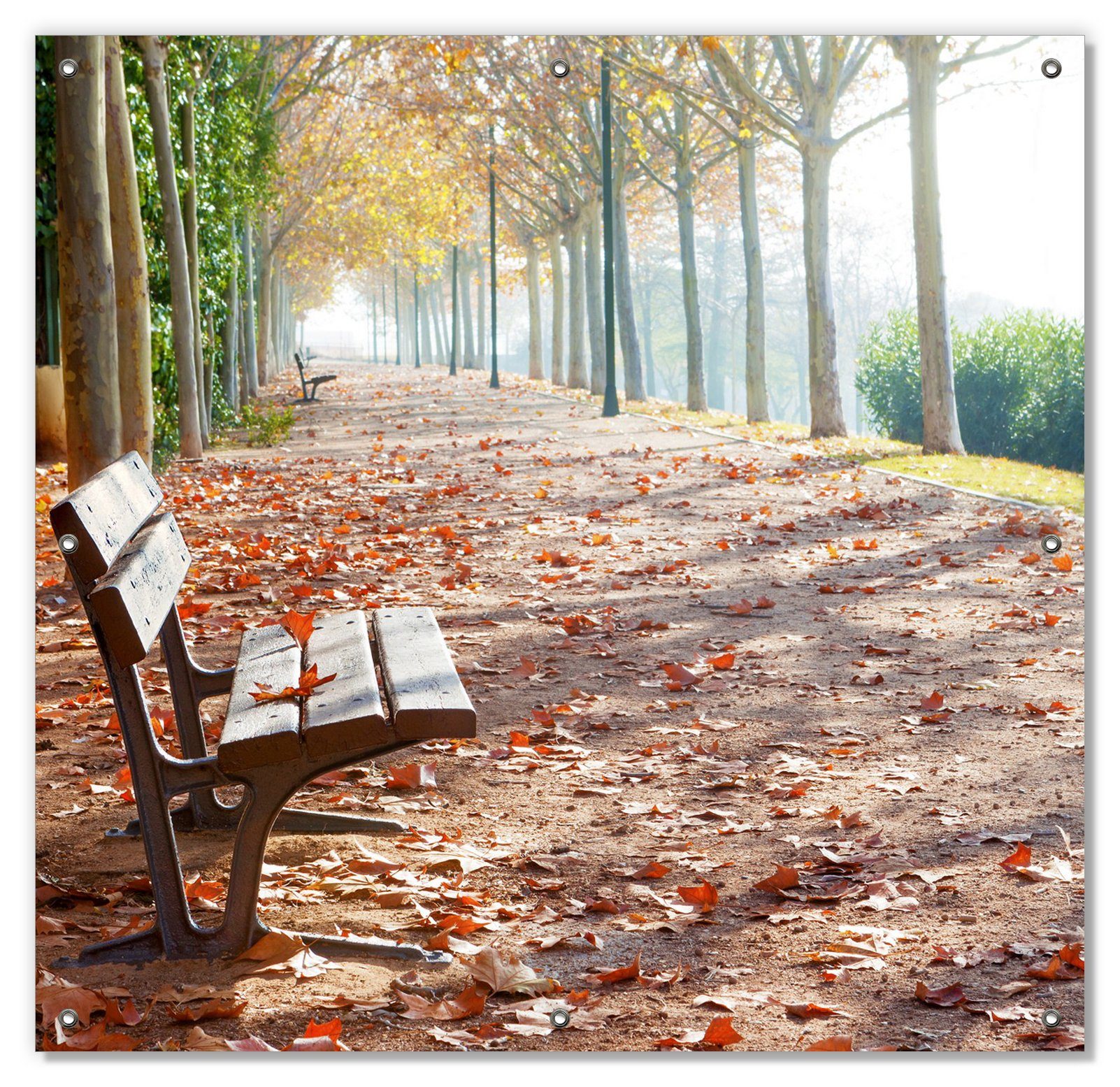 Sonnenschutz Einsame Parkbank an einer Allee - Herbststimmung, Wallario, blickdicht, mit Saugnäpfen, wiederablösbar und wiederverwendbar