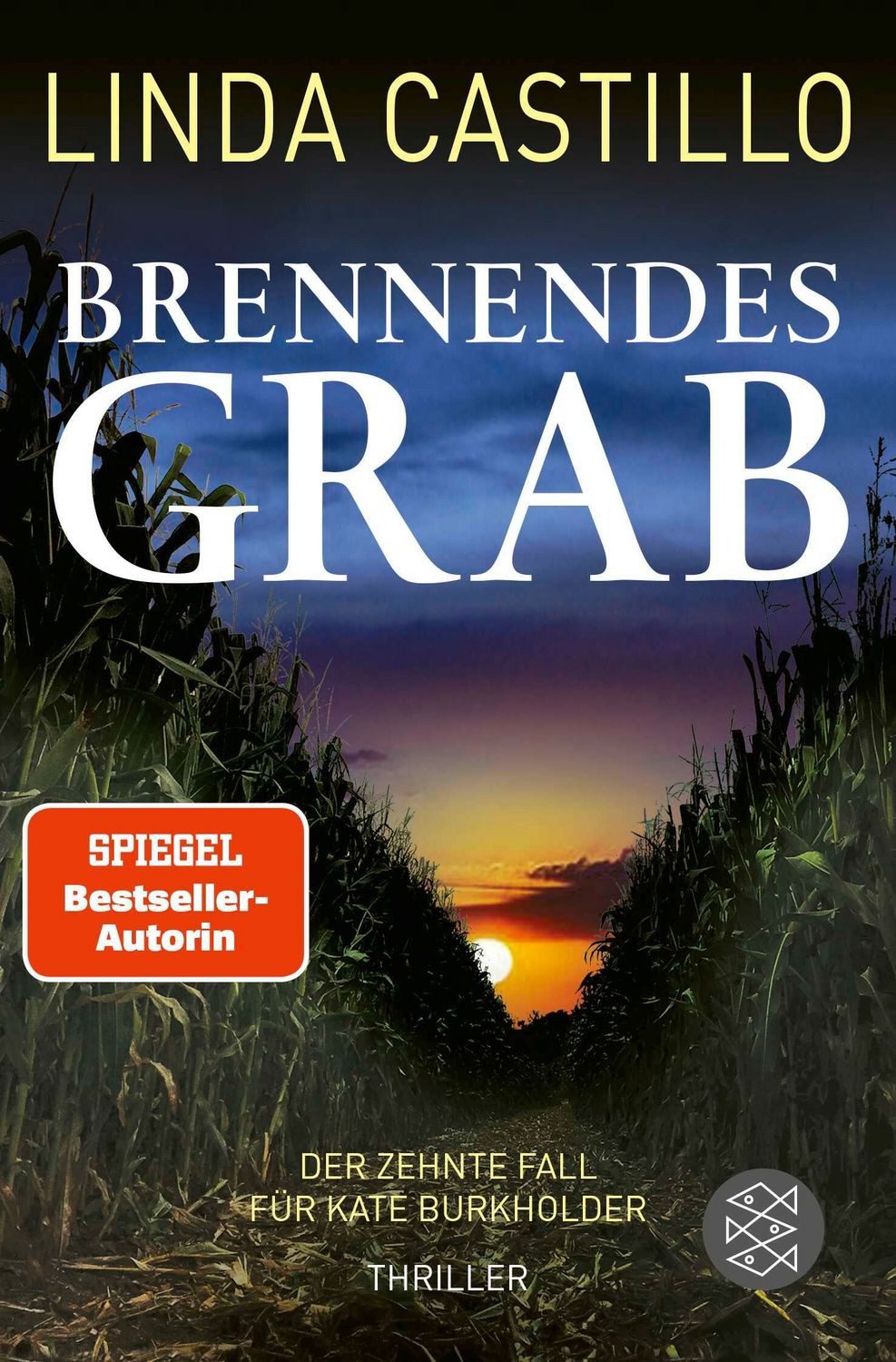 Brennendes Grab / Linda Castillo