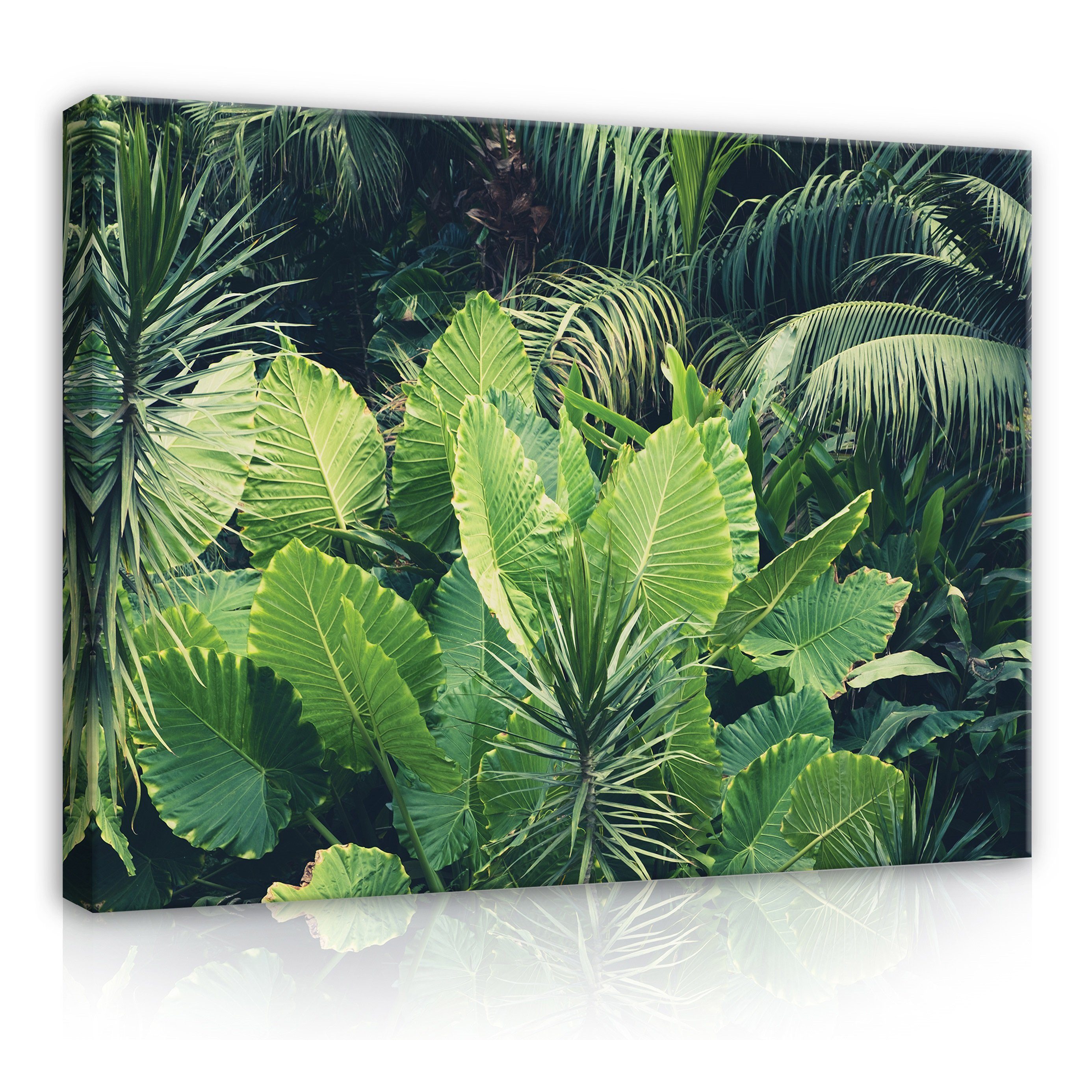 Wallarena Leinwandbild Blätter Dschungel Wald Tropisch Wandbild XXL Leinwandbilder Modern, Tropenblätter (Einteilig), Aufhängefertig
