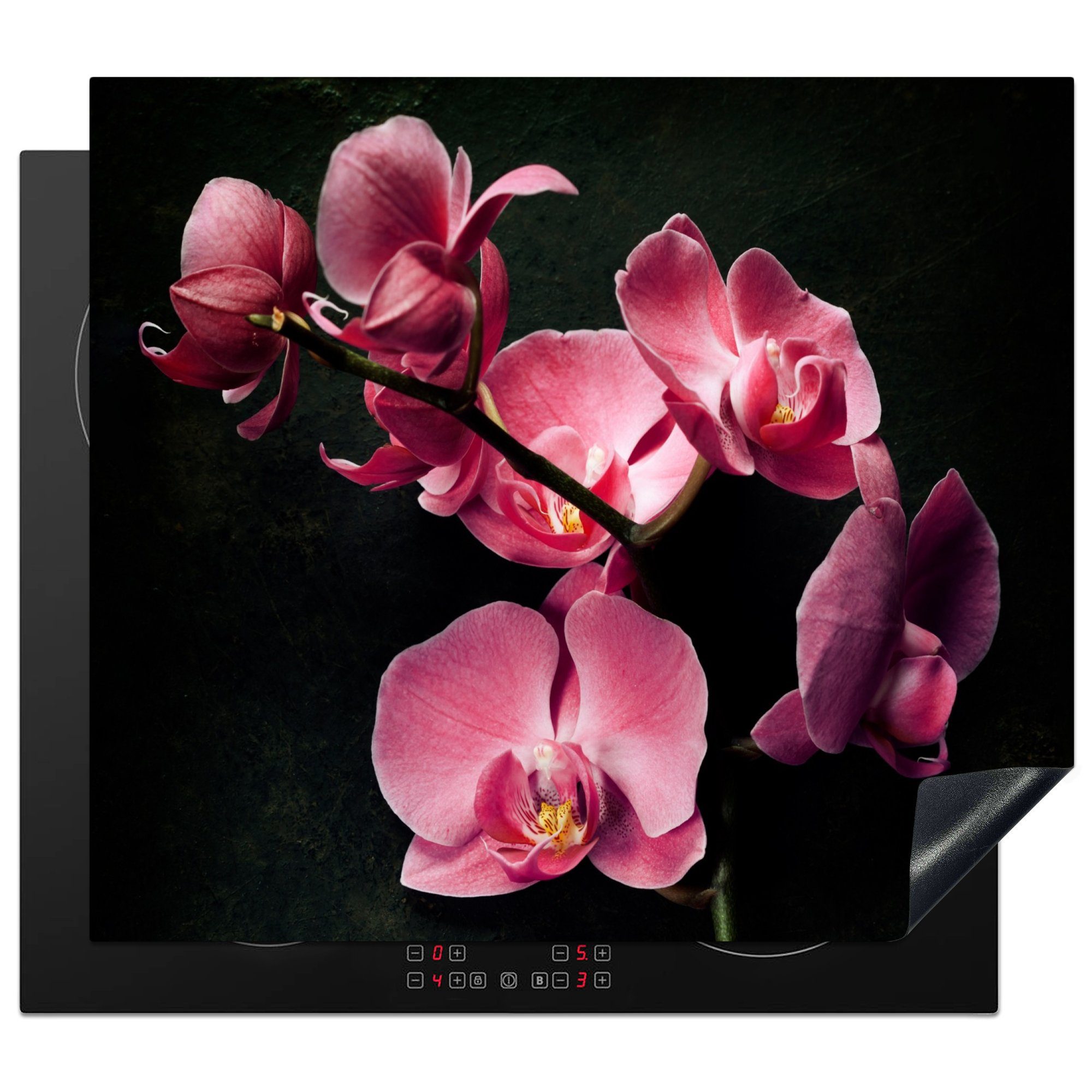 MuchoWow Herdblende-/Abdeckplatte Pflanzen - Orchidee - Blumen - Rosa, Vinyl, (1 tlg), 59x52 cm, Ceranfeldabdeckung für die küche, Induktionsmatte