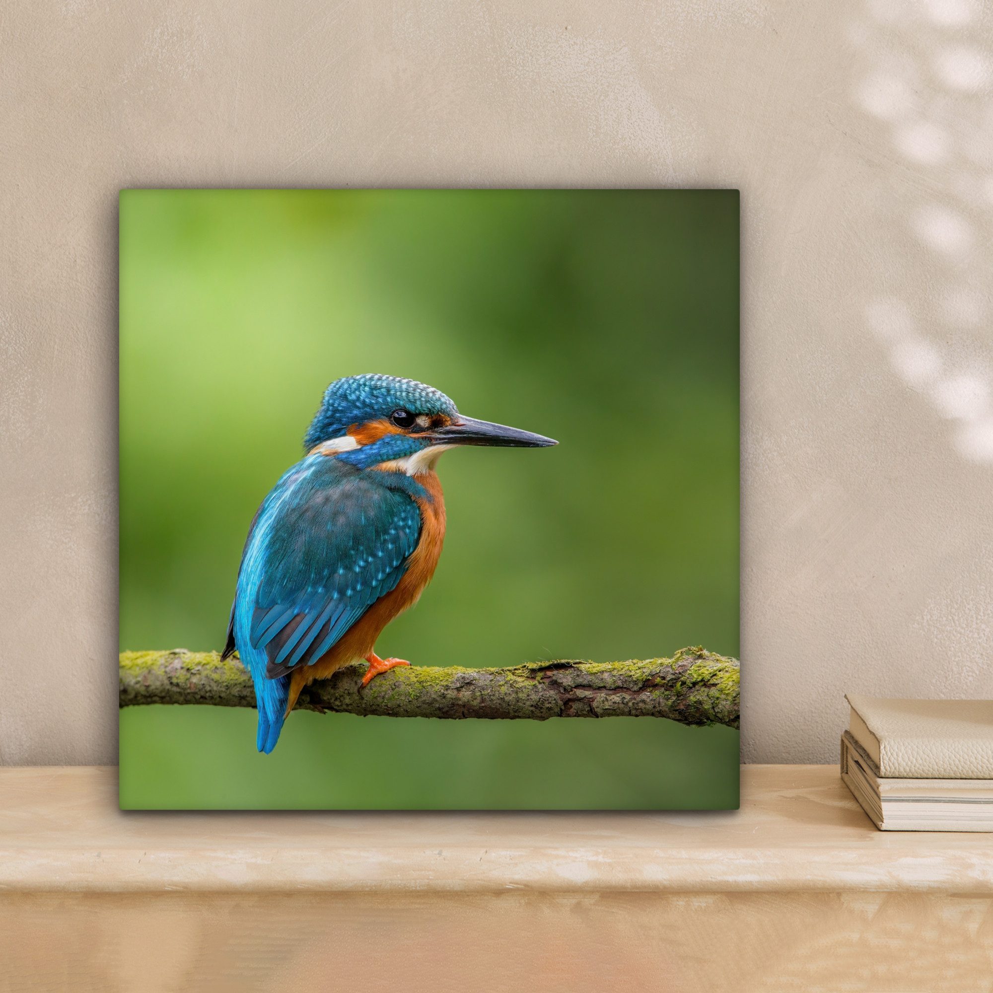 OneMillionCanvasses® Leinwandbild Eisvogel - Zweig - Moos - Vogel - Grün, F günstig online kaufen