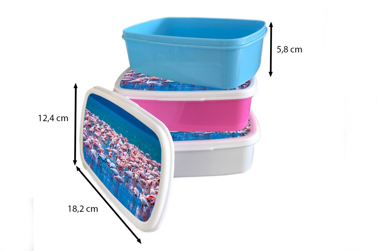 Brotdose Kunststoff, (2-tlg), Kinder, für Snackbox, Mädchen, Erwachsene, Rosa, Flamingo Brotbox - Wasser - Lunchbox Tropisch MuchoWow Kunststoff -