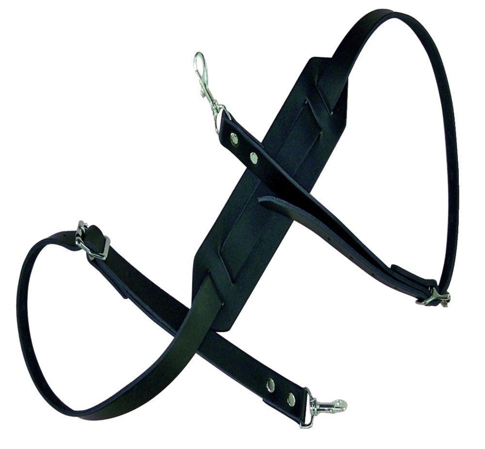 Gewa Banjo