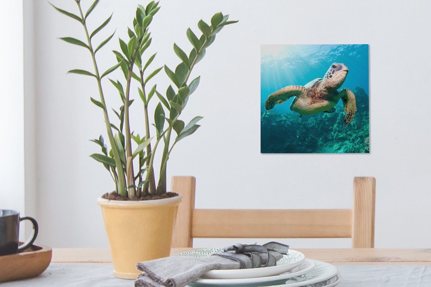 Fotodruck, Schildkröte Bilder (1 Schwimmende St), Wohnzimmer Schlafzimmer Leinwandbild für OneMillionCanvasses® Leinwand