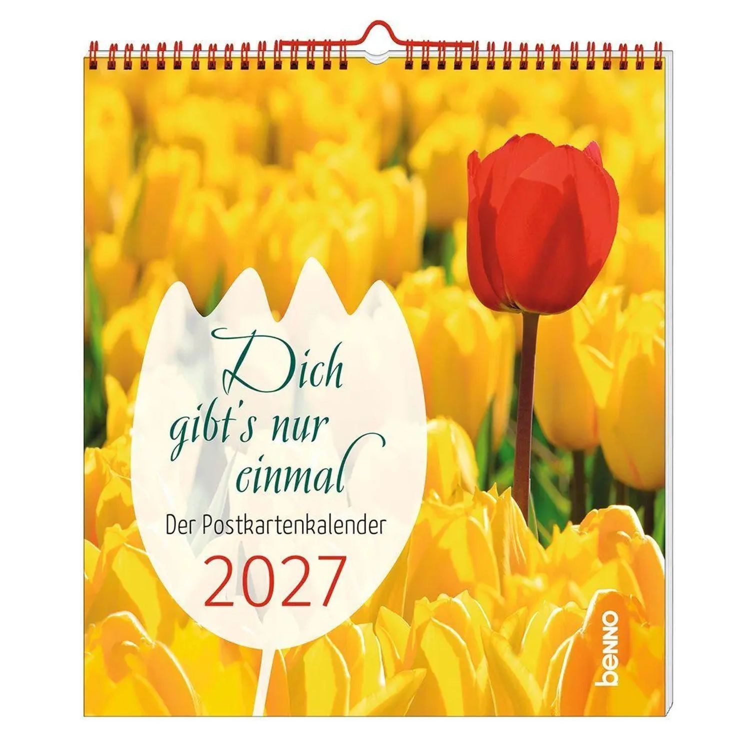 St. Benno Verlag Wandkalender Dich gibt's nur einmal 2027