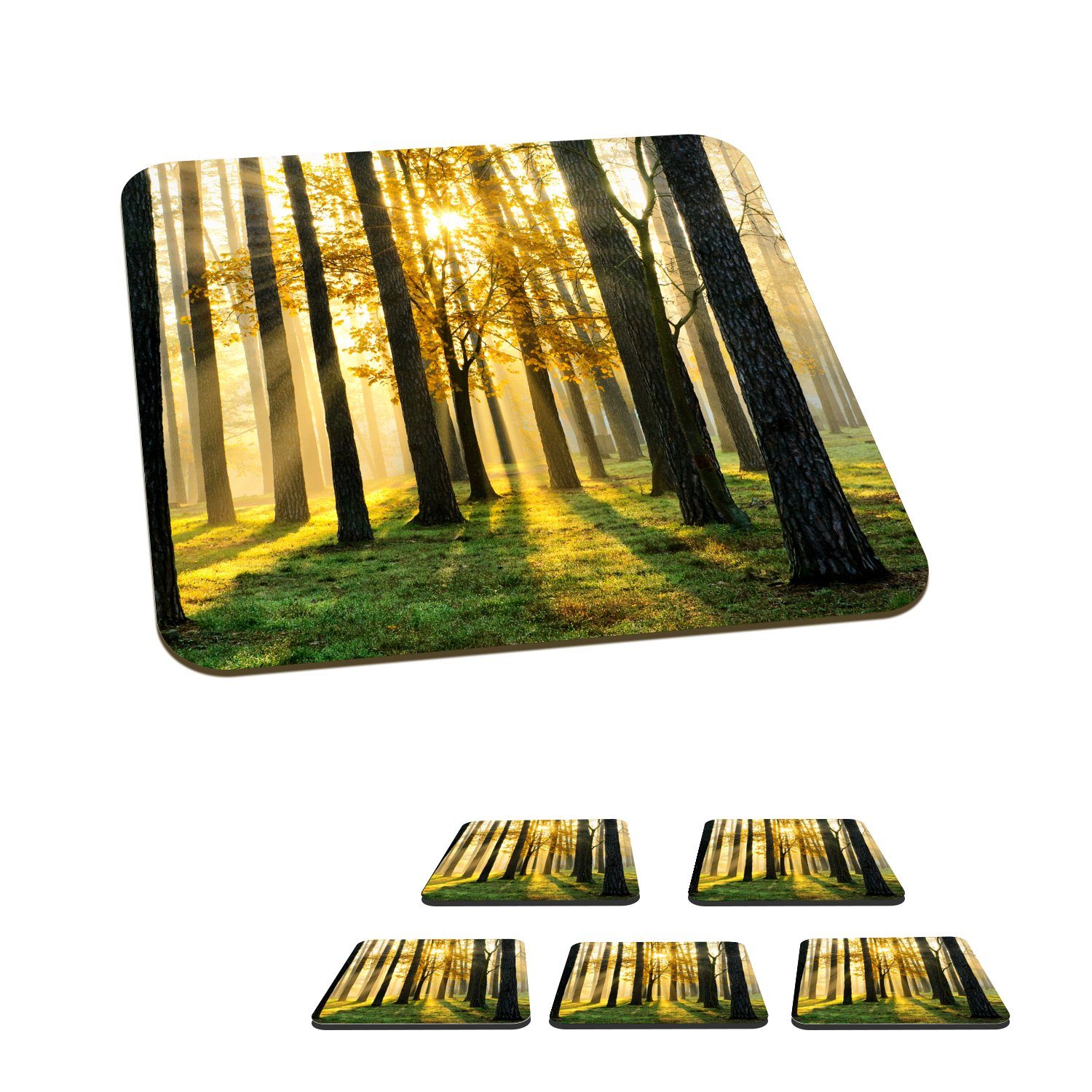 MuchoWow Glasuntersetzer Wald - Sonne - Bäume - Gras - Landschaft - Natur, Zubehör für Gläser, 6-tlg., Glasuntersetzer, Tischuntersetzer, Korkuntersetzer, Untersetzer, Tasse