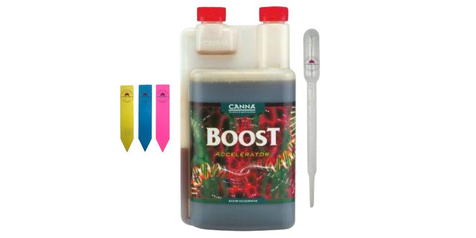 Canna Pflanzendünger Canna Boost günstig online kaufen