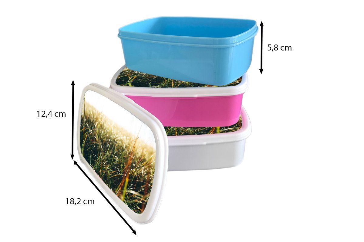 MuchoWow Lunchbox Rasenfläche - Pampasgras, (2-tlg), Brotbox Erwachsene, Mädchen, rosa Kunststoff für Snackbox, Kunststoff, Kinder, Brotdose