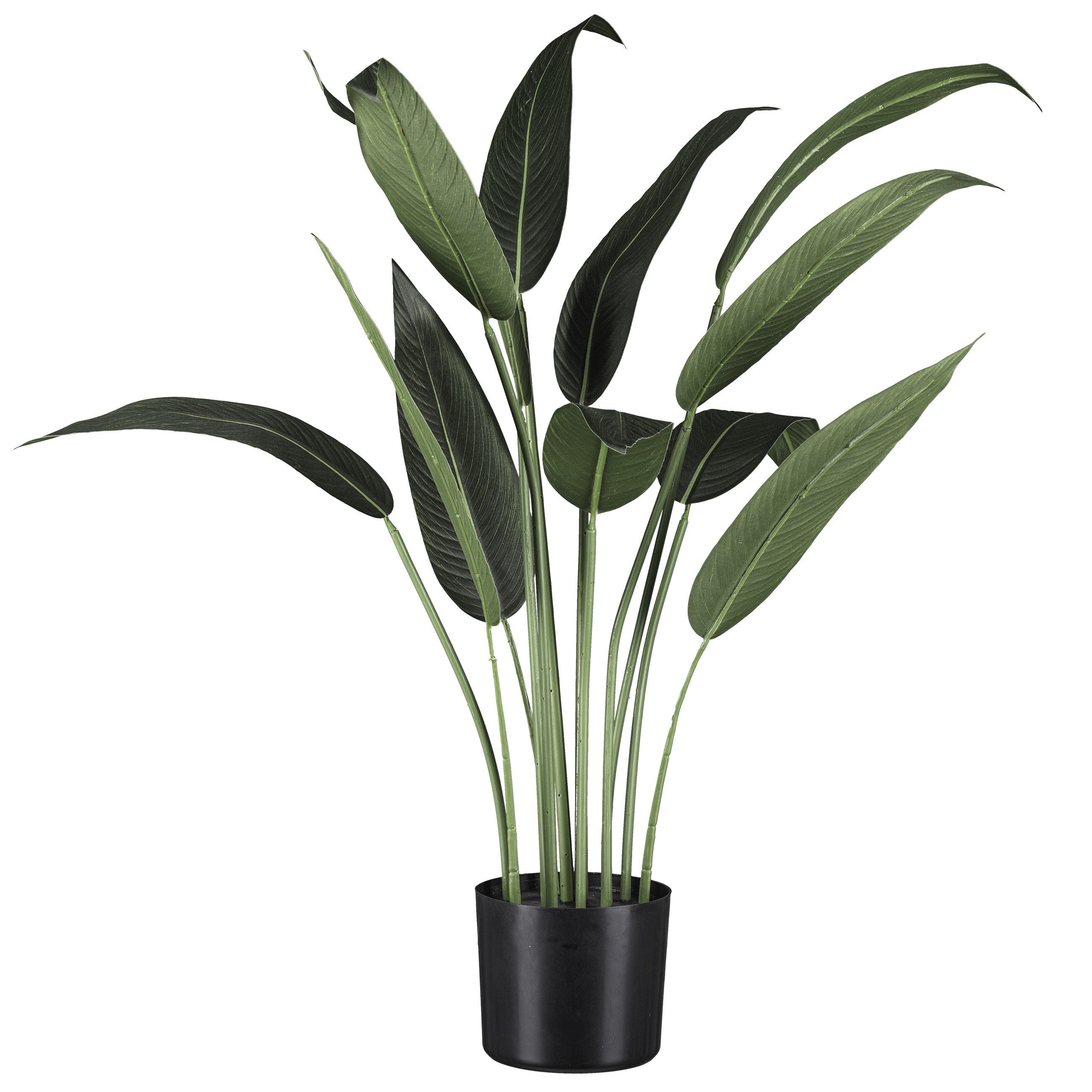 Künstliche Zimmerpflanze Wassercanna, Creativ green, Höhe 90 cm, mit üppigem Blattwerk