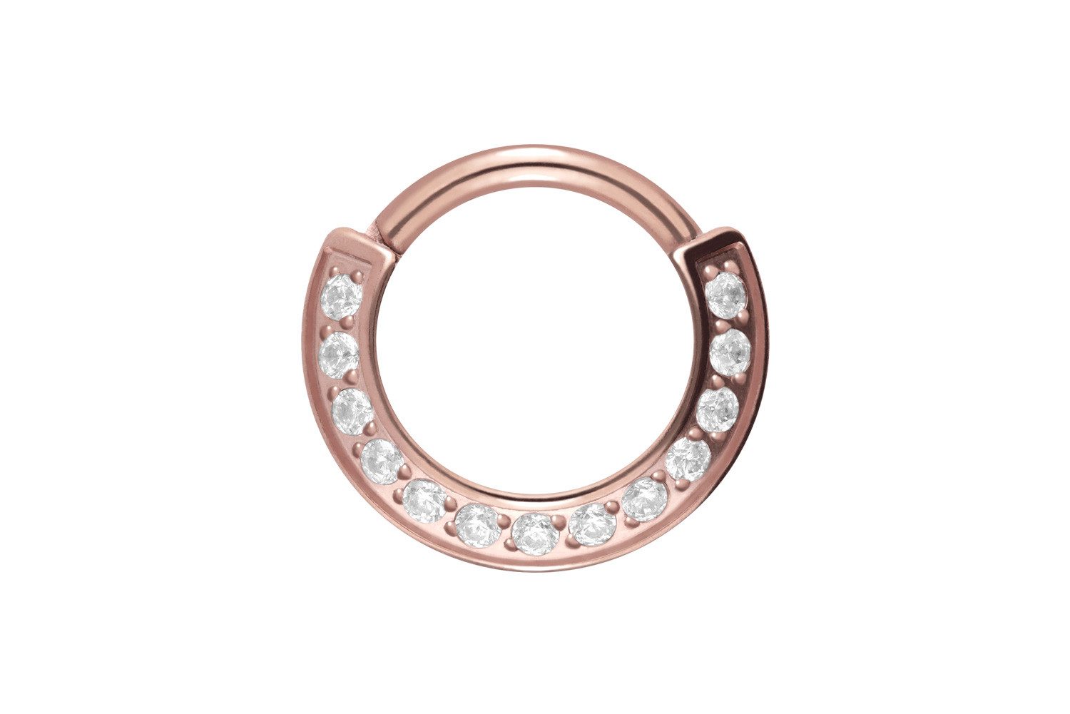 Nasenpiercing Titan Segmentring Clicker 13 KRISTALLE Ohrpiercing Septum Nase