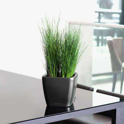 Lechuza® Blumentopf Tisch-Pflanzgefäß QUADRO LS 21 ALL-IN-ONE Kohlegrau-Metallic (1 St)