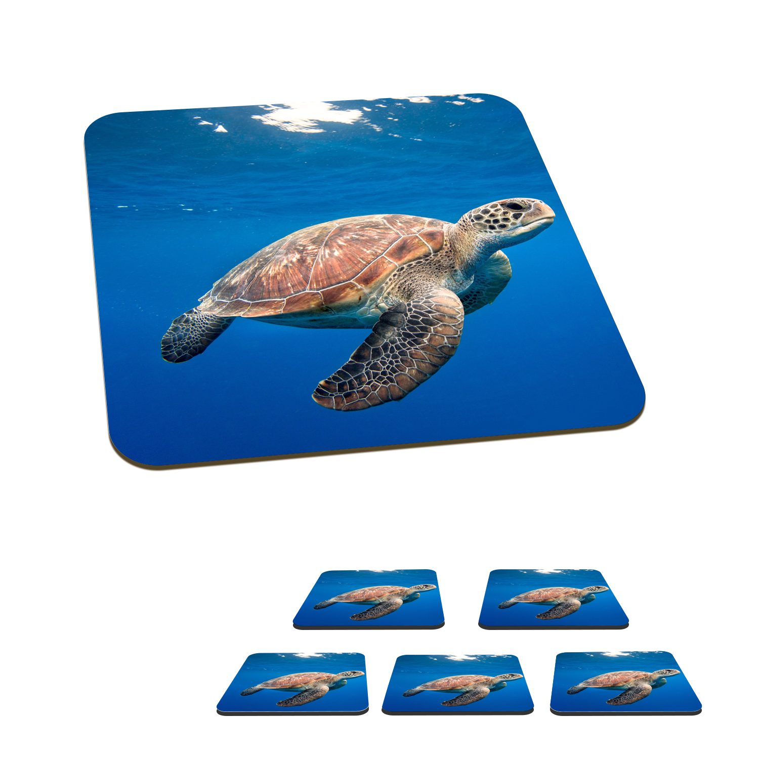 MuchoWow Glasuntersetzer Schildkröte im Ozean, Zubehör für Gläser, 6-tlg., Glasuntersetzer, Tischuntersetzer, Korkuntersetzer, Untersetzer, Tasse