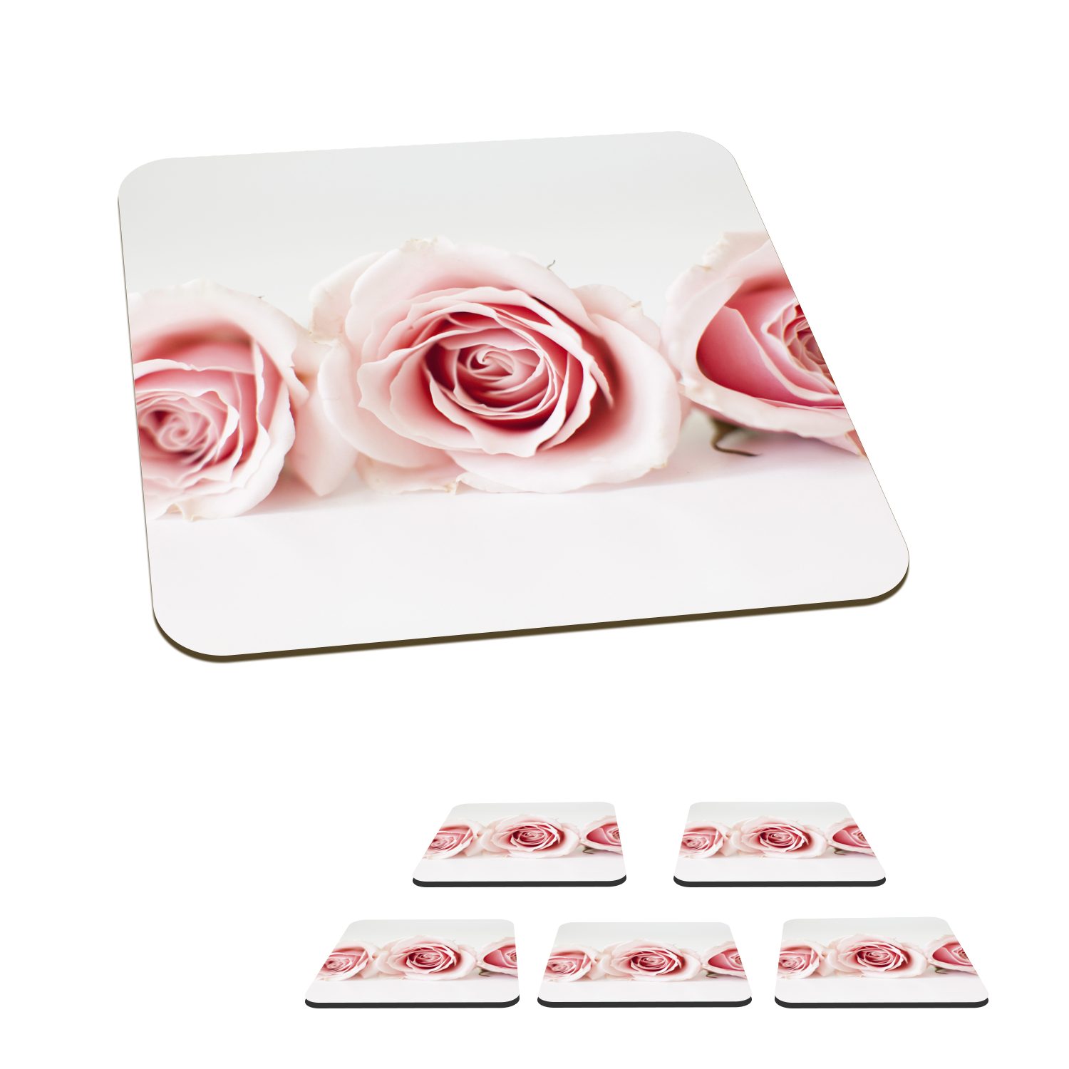 MuchoWow Glasuntersetzer Studioaufnahme von drei rosa Rosen nebeneinander, Zubehör für Gläser, 6-tlg., Glasuntersetzer, Tischuntersetzer, Korkuntersetzer, Untersetzer, Tasse