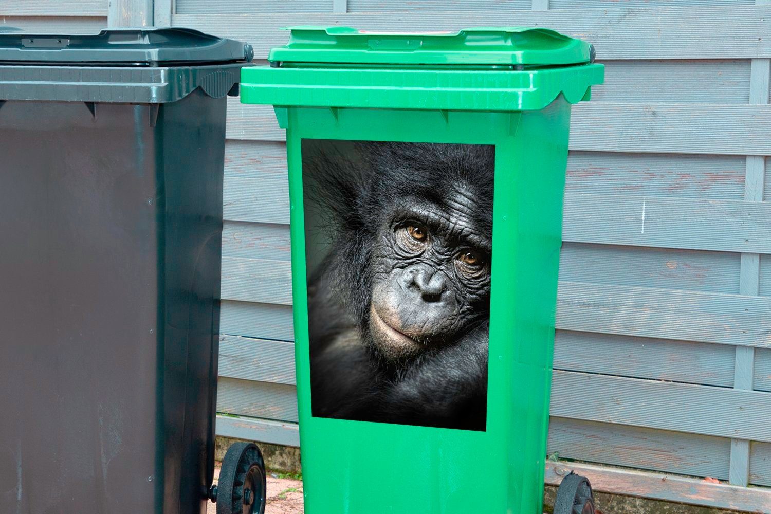 Sticker, aus MuchoWow nächster Container, St), Mülltonne, Nähe (1 Schimpanse Abfalbehälter Wandsticker Mülleimer-aufkleber,