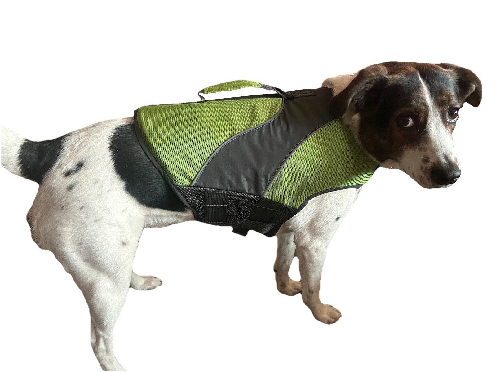Navaris Hundeweste Hundeschwimmweste L grün Rettungsweste Hunde Schwimmweste Weste Hund