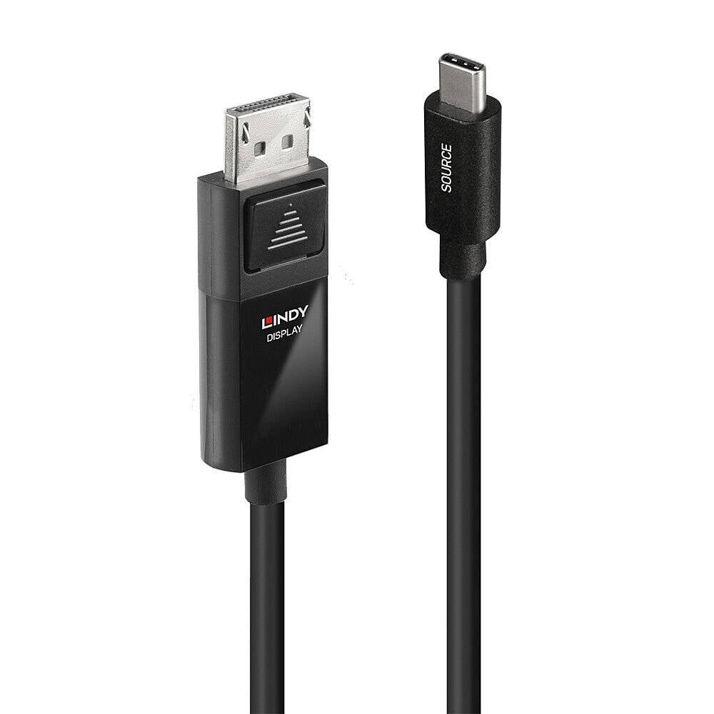 Lindy Schnittstellenkarte/Adapter DisplayPort 43342 USB-Kabel