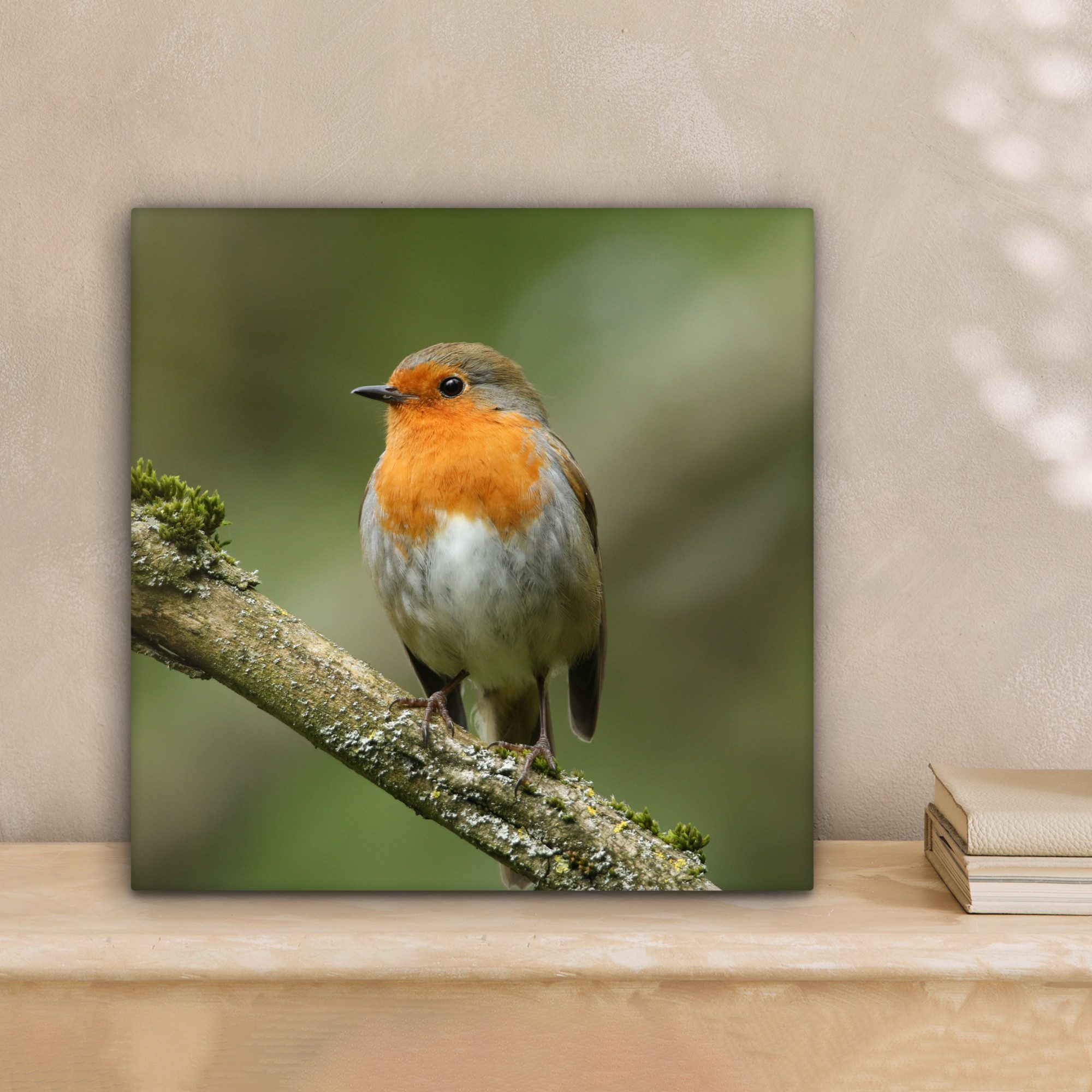 OneMillionCanvasses® Leinwandbild Vogel - Rotkehlchen - Zweig - Pflanzen, F günstig online kaufen