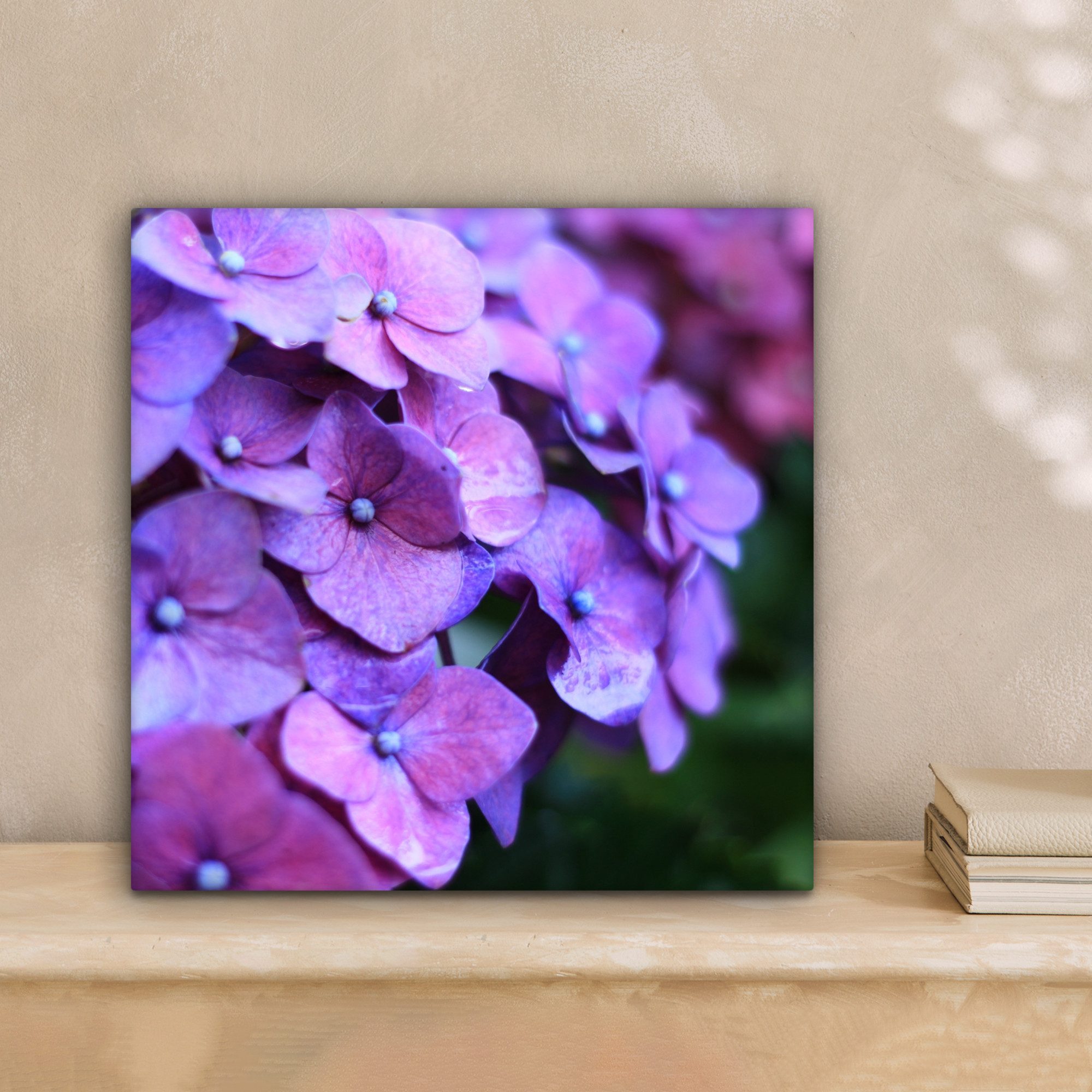 OneMillionCanvasses® Leinwandbild Blumen - Lila - günstig online kaufen