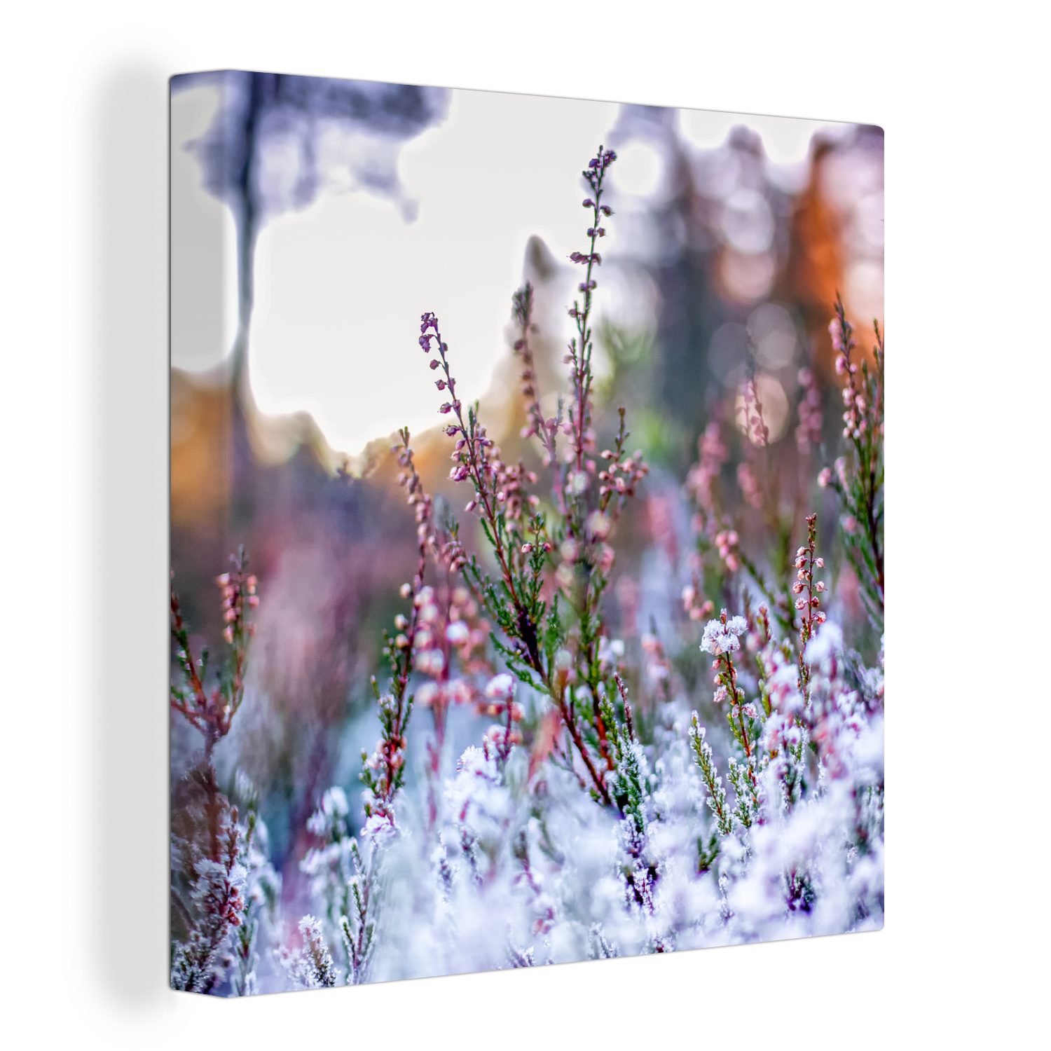 OneMillionCanvasses® Leinwandbild Blumen - Winter - Schnee, (1 St), Leinwand Bilder für Wohnzimmer Schlafzimmer