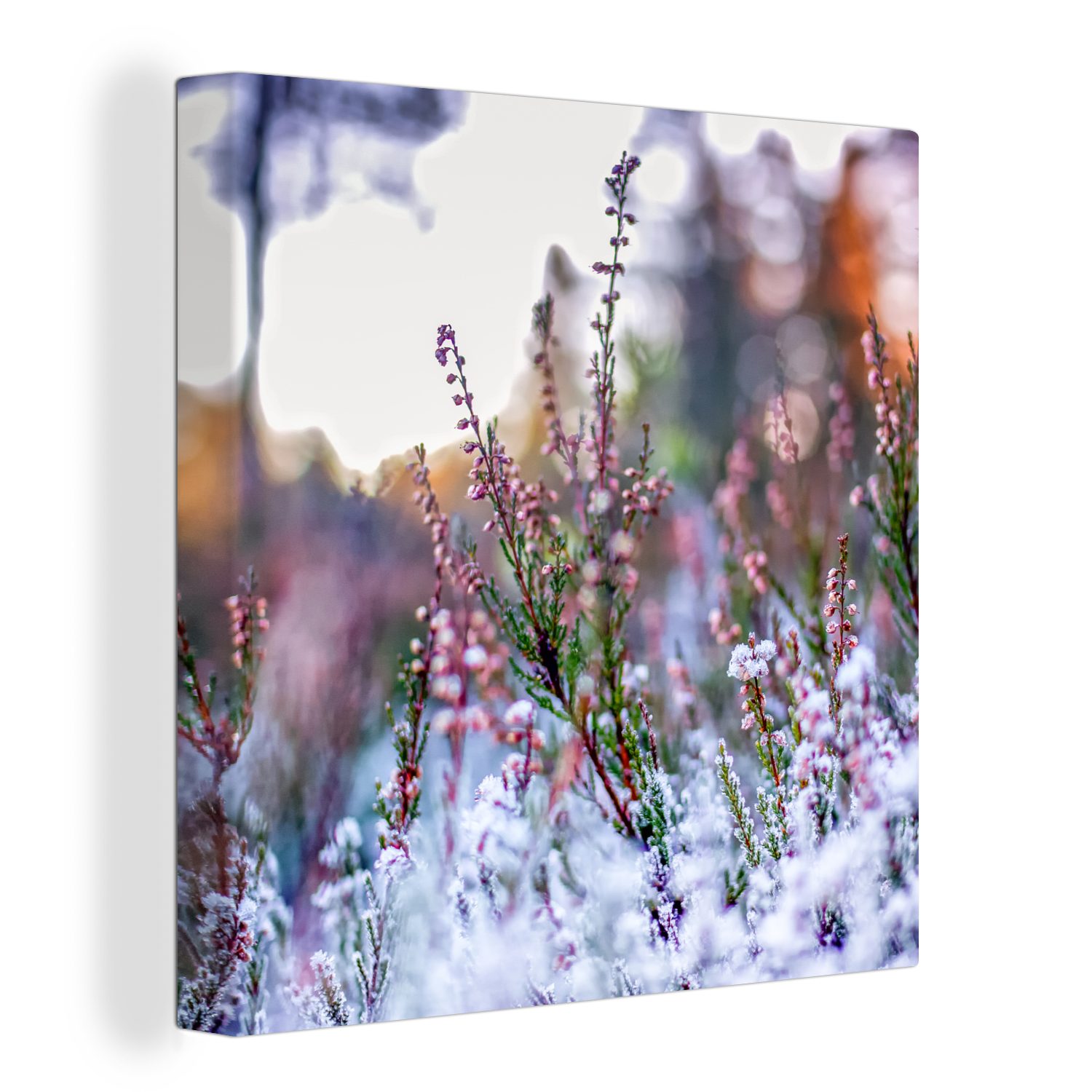 OneMillionCanvasses® Leinwandbild Blumen - Winter - Schnee, Fotodruck (1 St günstig online kaufen