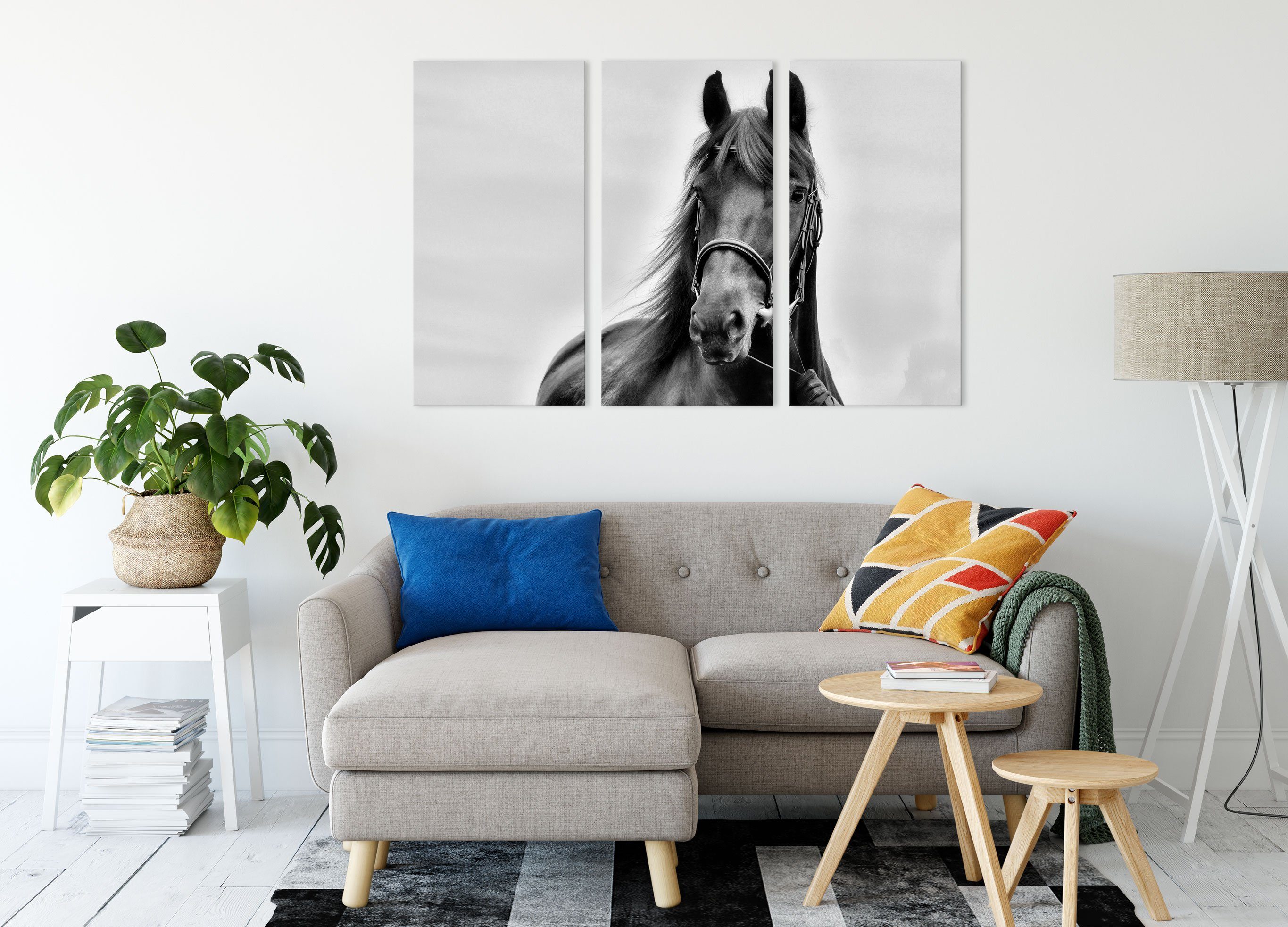Schönes Leinwandbild Pferd, Leinwandbild Schönes Pferd (1 fertig 3Teiler (120x80cm) St), inkl. Zackenaufhänger Pixxprint bespannt,