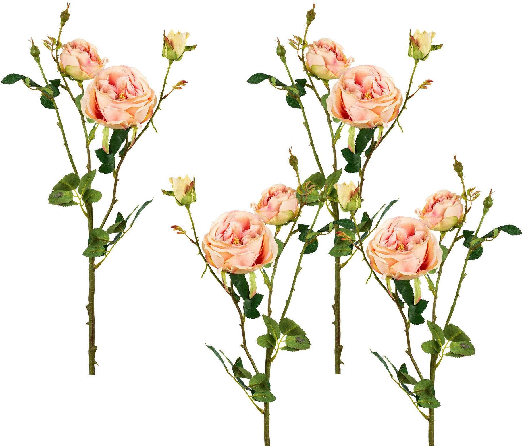 Kunstblume, Creativ green, Höhe 63 cm, günstig online kaufen