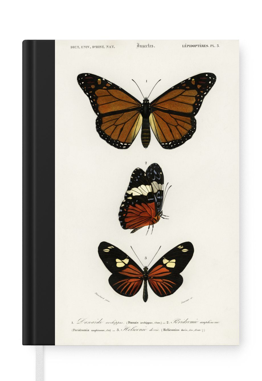 Notizbuch Schmetterling - Vintage - Insekten