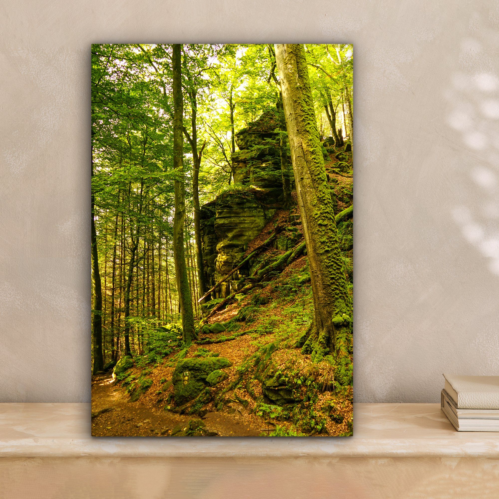 OneMillionCanvasses® Leinwandbild Bäume - Stein - Wald - Natur - Pflanzen, günstig online kaufen