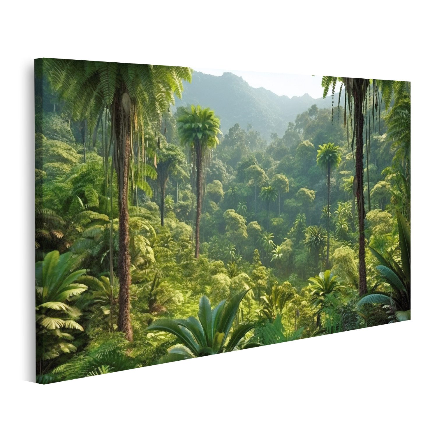 islandburner Leinwandbild Wildes Dschungel Panorama Tiefer Wald Palmen Tropische Pflan Bilder
