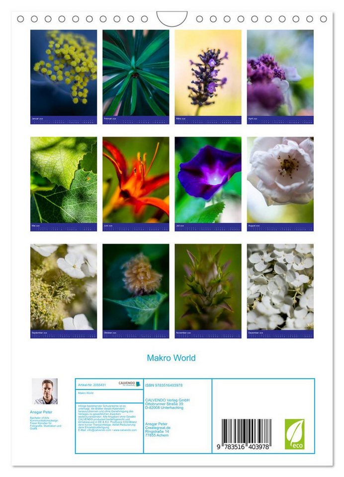 Thumbnail - CALVENDO Wandkalender Makro World (Wandkalender 2026 DIN A4 hoch), CALVENDO Monatskalender