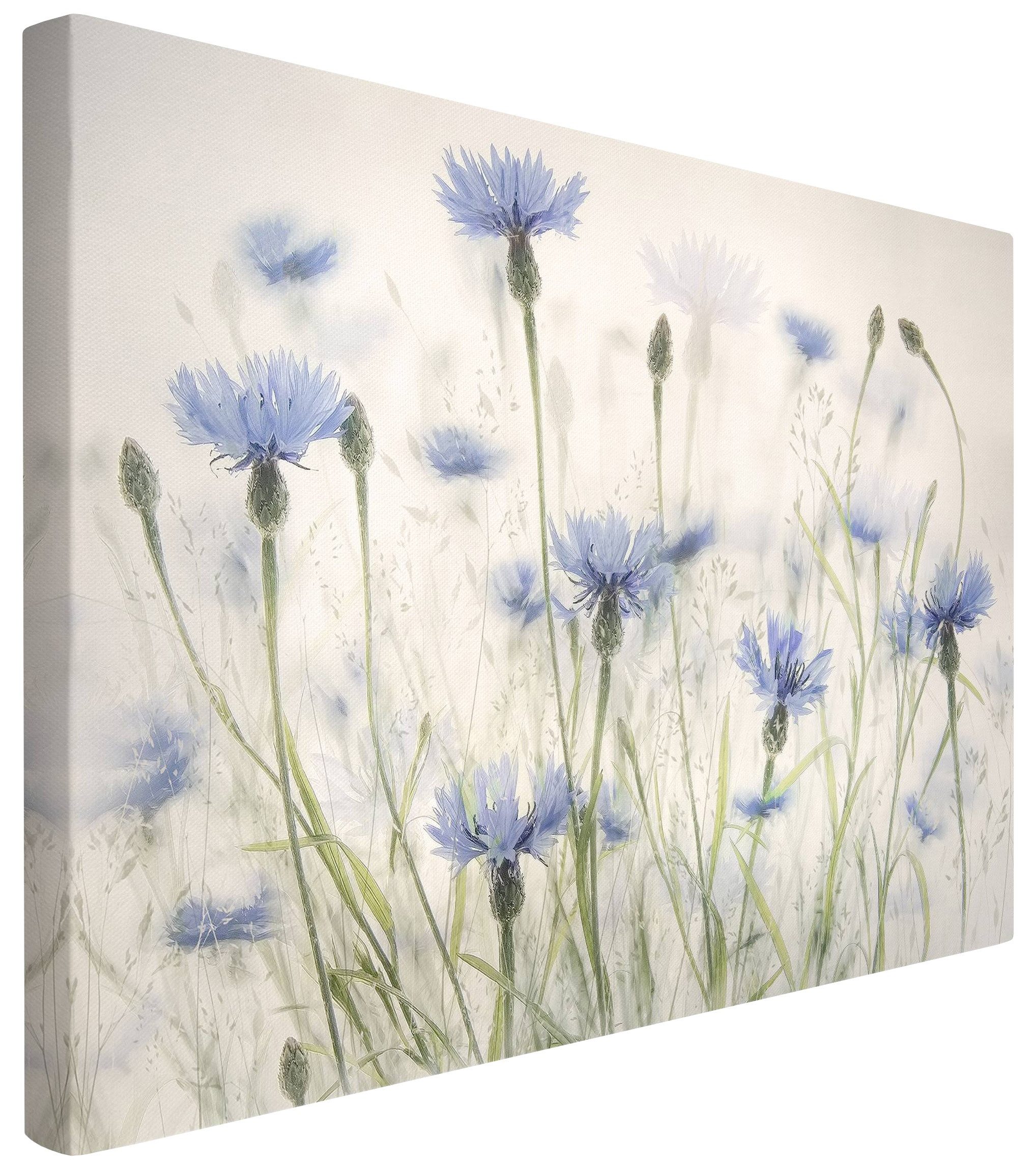 Bilderdepot24 Leinwandbild Blumen Modern Kornblumen Gräser Feld grün Bild auf Leinwand Groß XXL, Wohnzimmer Schlafzimmer Küche Flur Wandbild Kunstdruck Wanddeko Druck