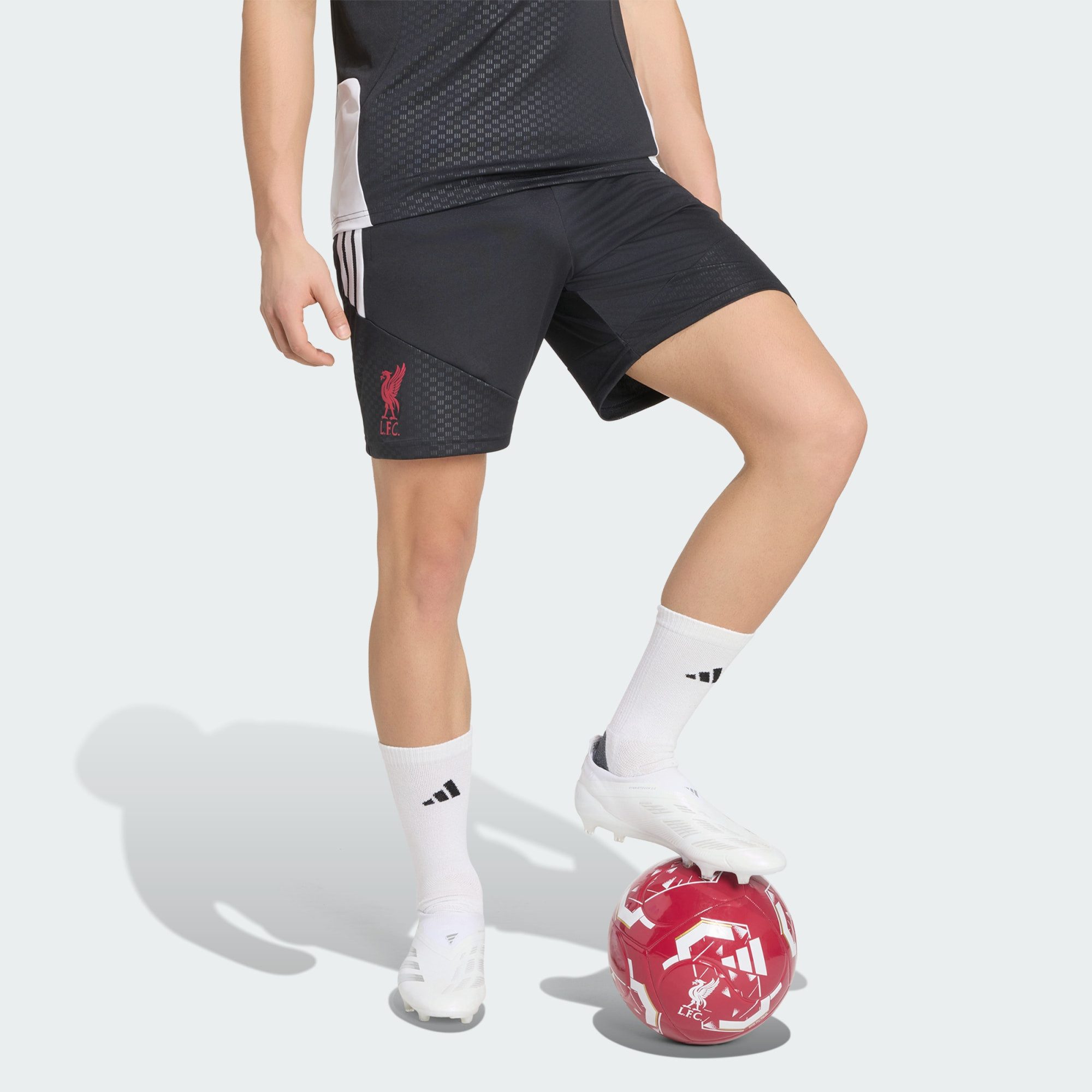 adidas Performance Shorts LIVERPOOL FC 26/27 TIRO TRAININGSSHORTS (1-tlg)