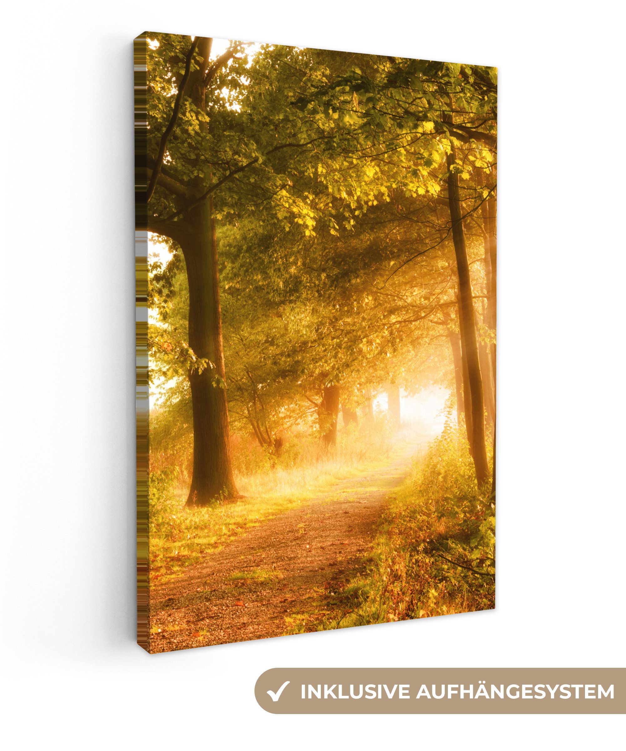 OneMillionCanvasses® Leinwandbild Wald - Bäume - Sonnenlicht - Herbst - Weg günstig online kaufen