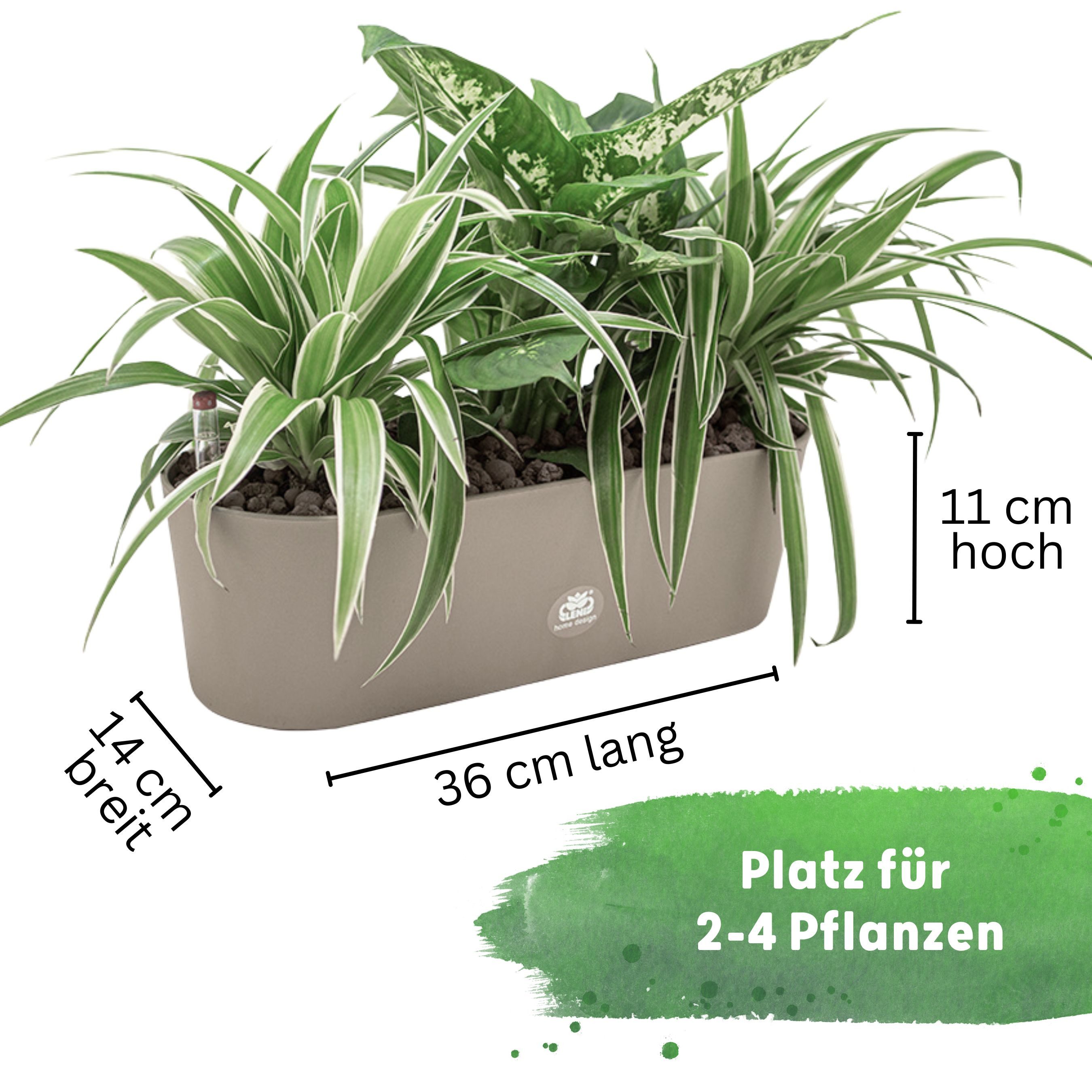LENI Jardiniere Blumentopf länglich Pflanzkasten 36 günstig online kaufen
