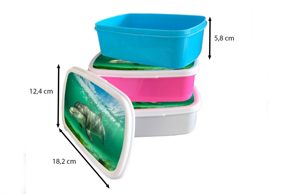 Jungs - Brotdose, Mädchen und Kunststoff, für Delfin Brotbox MuchoWow weiß Wasser, und Erwachsene, für Tiere - Lunchbox (2-tlg), Kinder