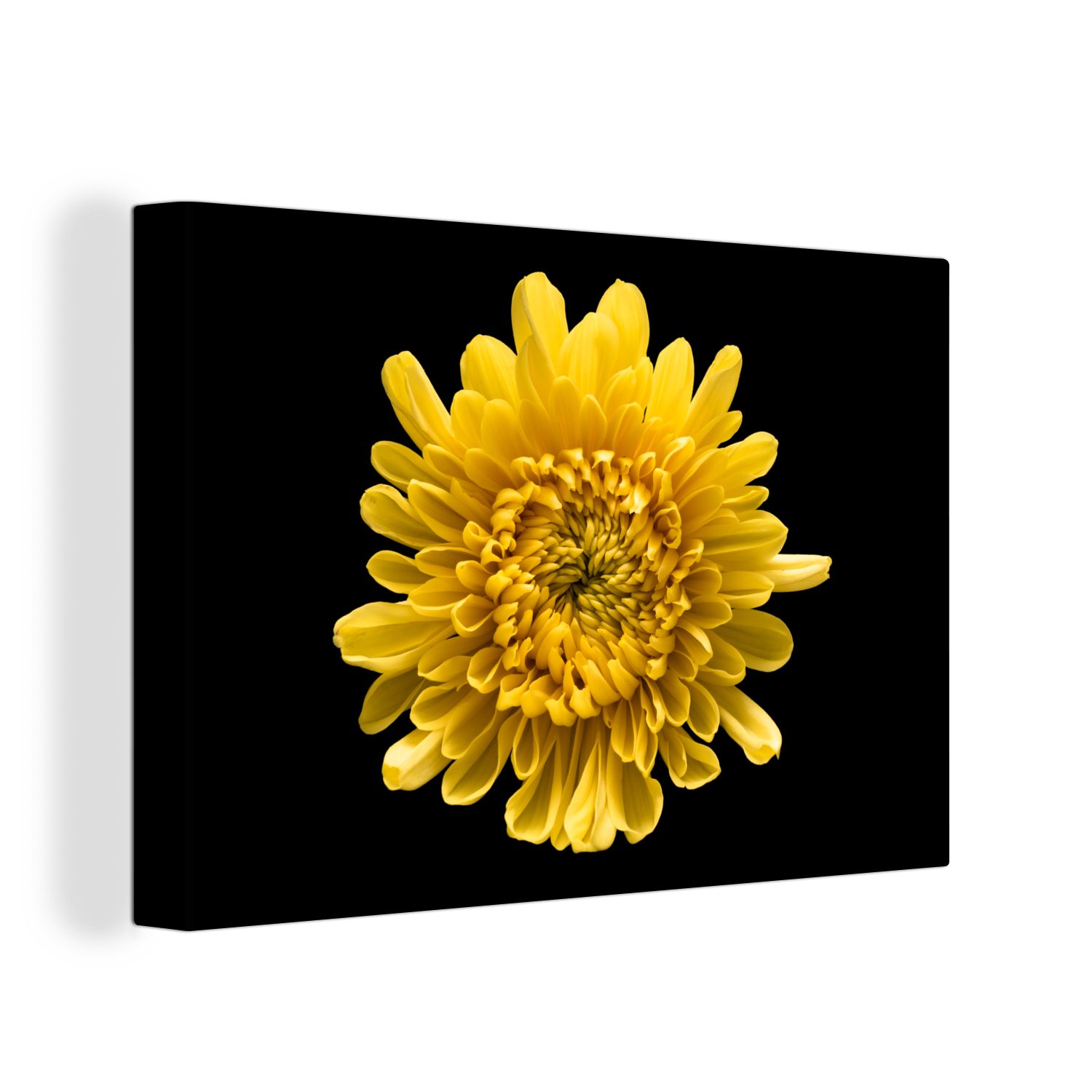 St), 30x20 gelbe Leinwandbild Hintergrund, Chrysantheme OneMillionCanvasses® Wanddeko, Wandbild Leinwandbilder, Aufhängefertig, Eine auf (1 cm schwarzem