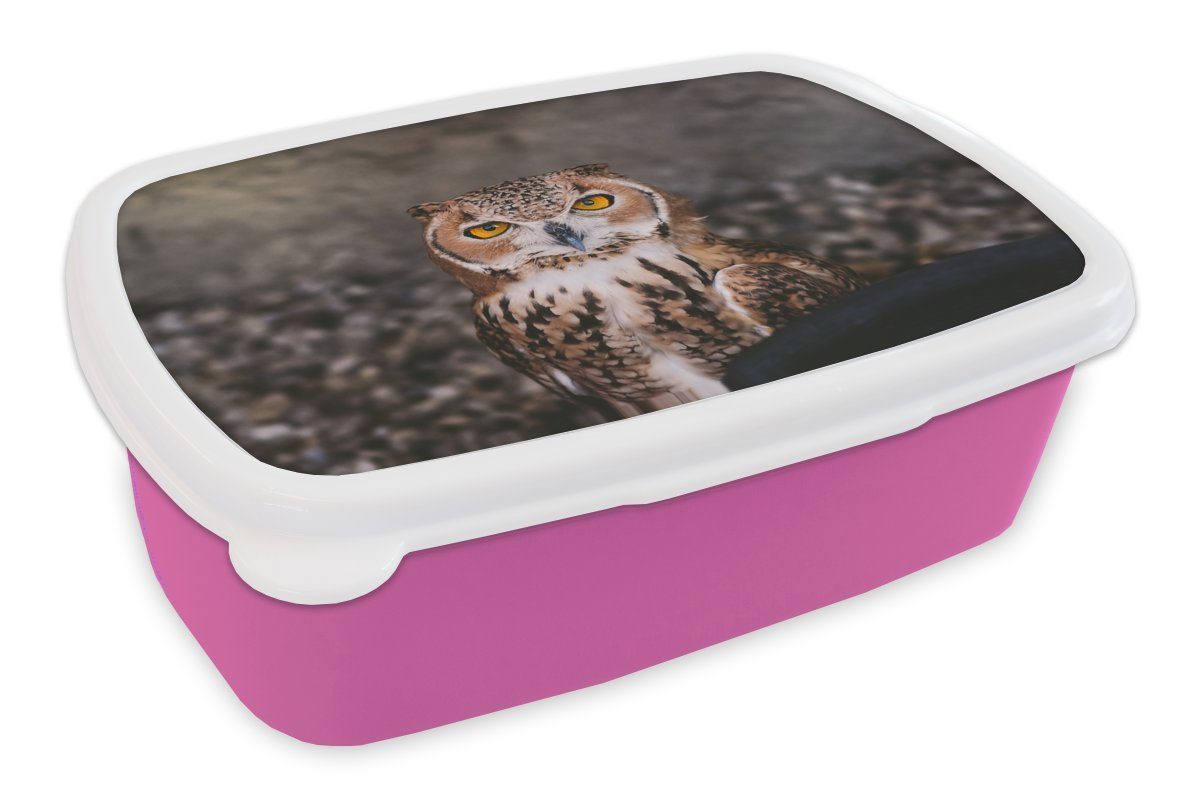 Brotbox Braune Lunchbox Kamera, Mädchen, MuchoWow rosa Erwachsene, (2-tlg), Kinder, die Snackbox, Brotdose schaut Eule für Kunststoff Kunststoff, in direkt