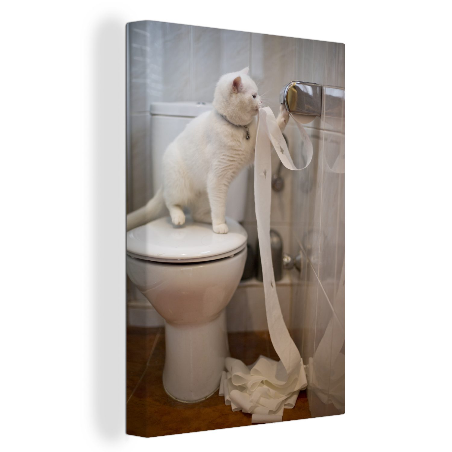 OneMillionCanvasses® Leinwandbild Katze spielt mit Toilettenpapier, (1 St), Leinwandbild fertig bespannt inkl. Zackenaufhänger, Gemälde, 20x30 cm