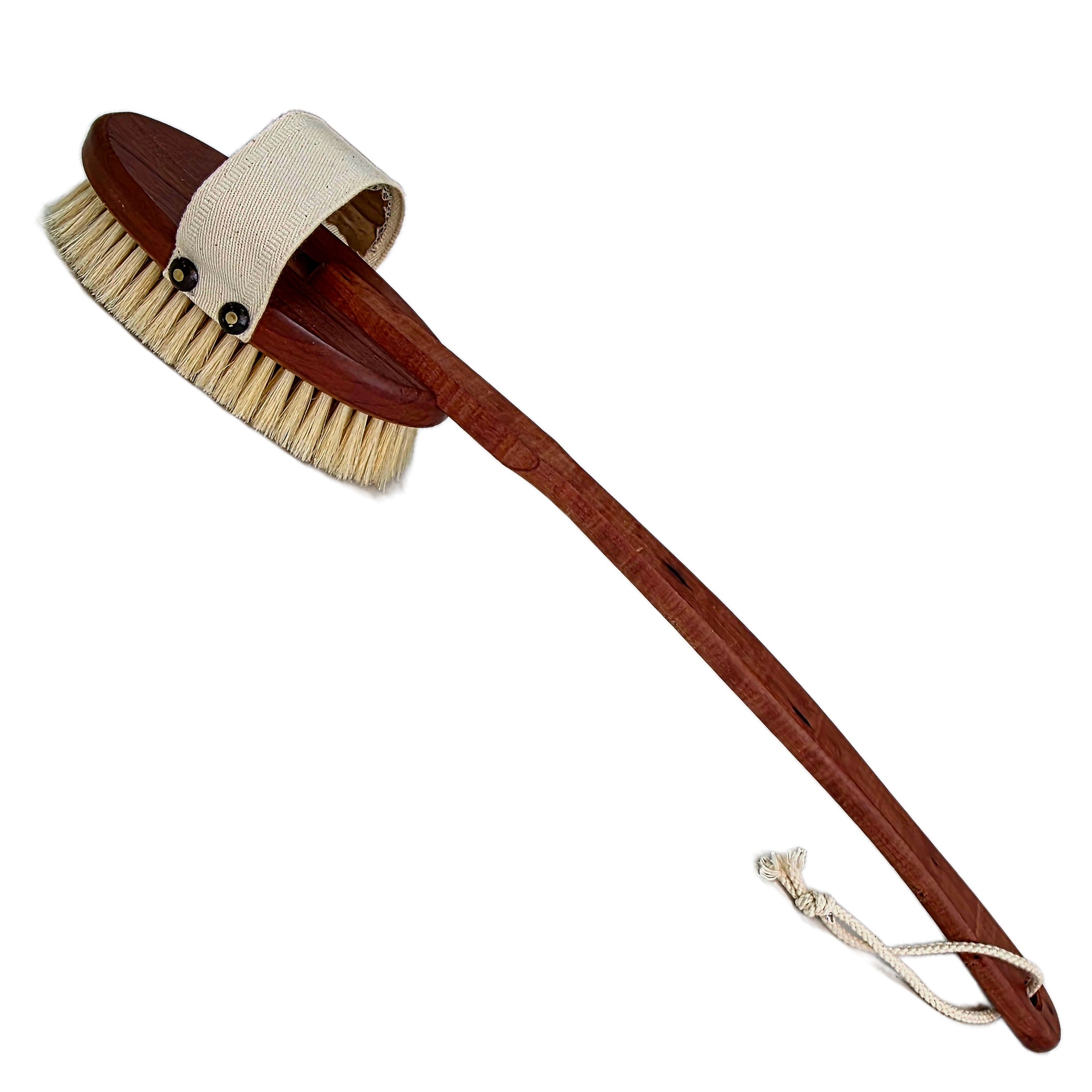 TelMo Badebürste Premium Saunabürste Badebürste mit abnehmbaren Bürstenkopf