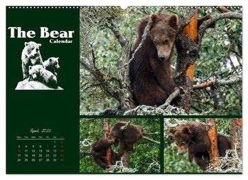 CALVENDO Wandkalender The Bear Calendar / UK-Version (Premium-Calendar 2023 DIN A2 Landscape)