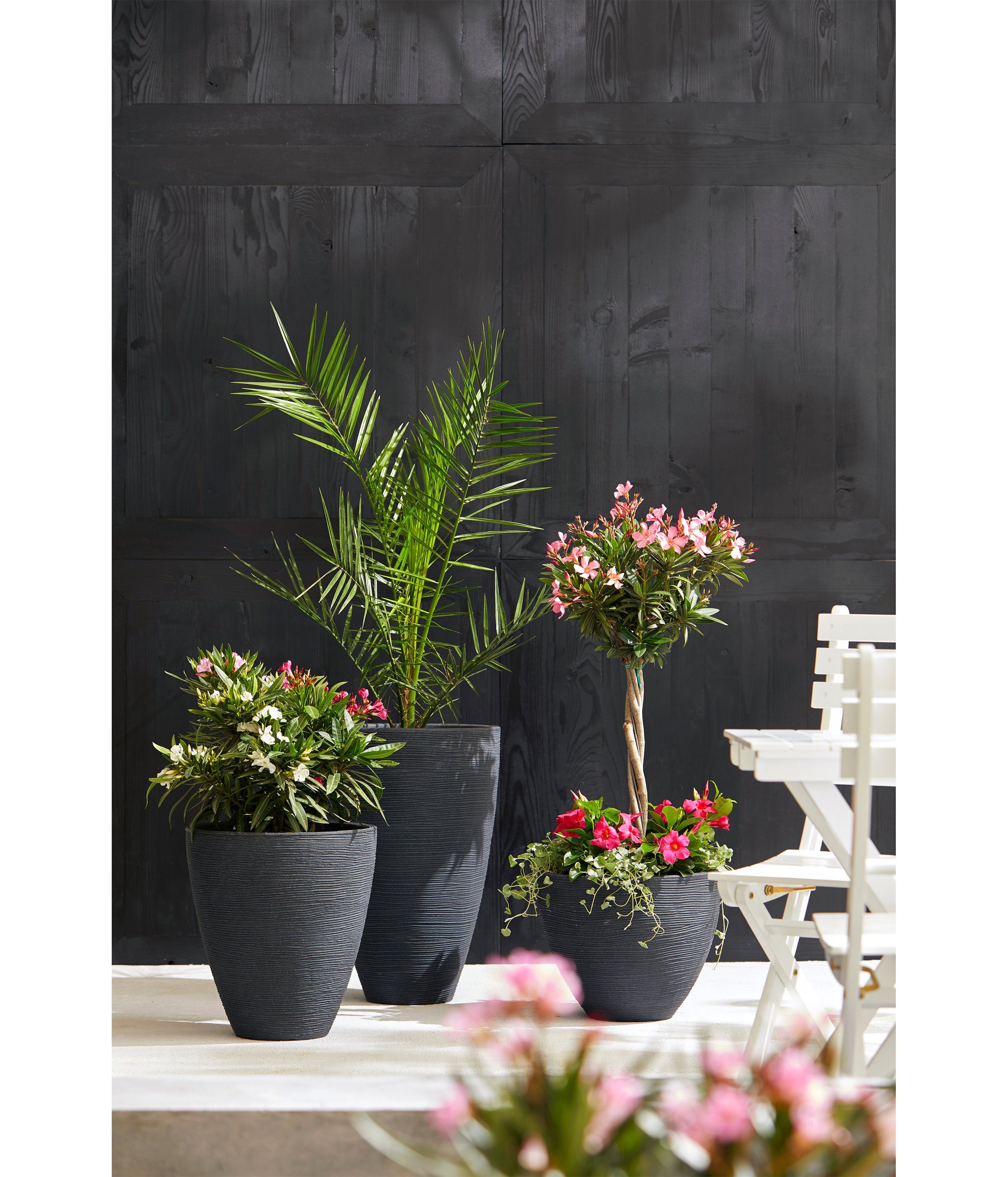 Dehner Blumentopf San Diego, versch. Größen, Kunststoff, Stilvoller, robuster Blumentopf für den Garten, wetterfest