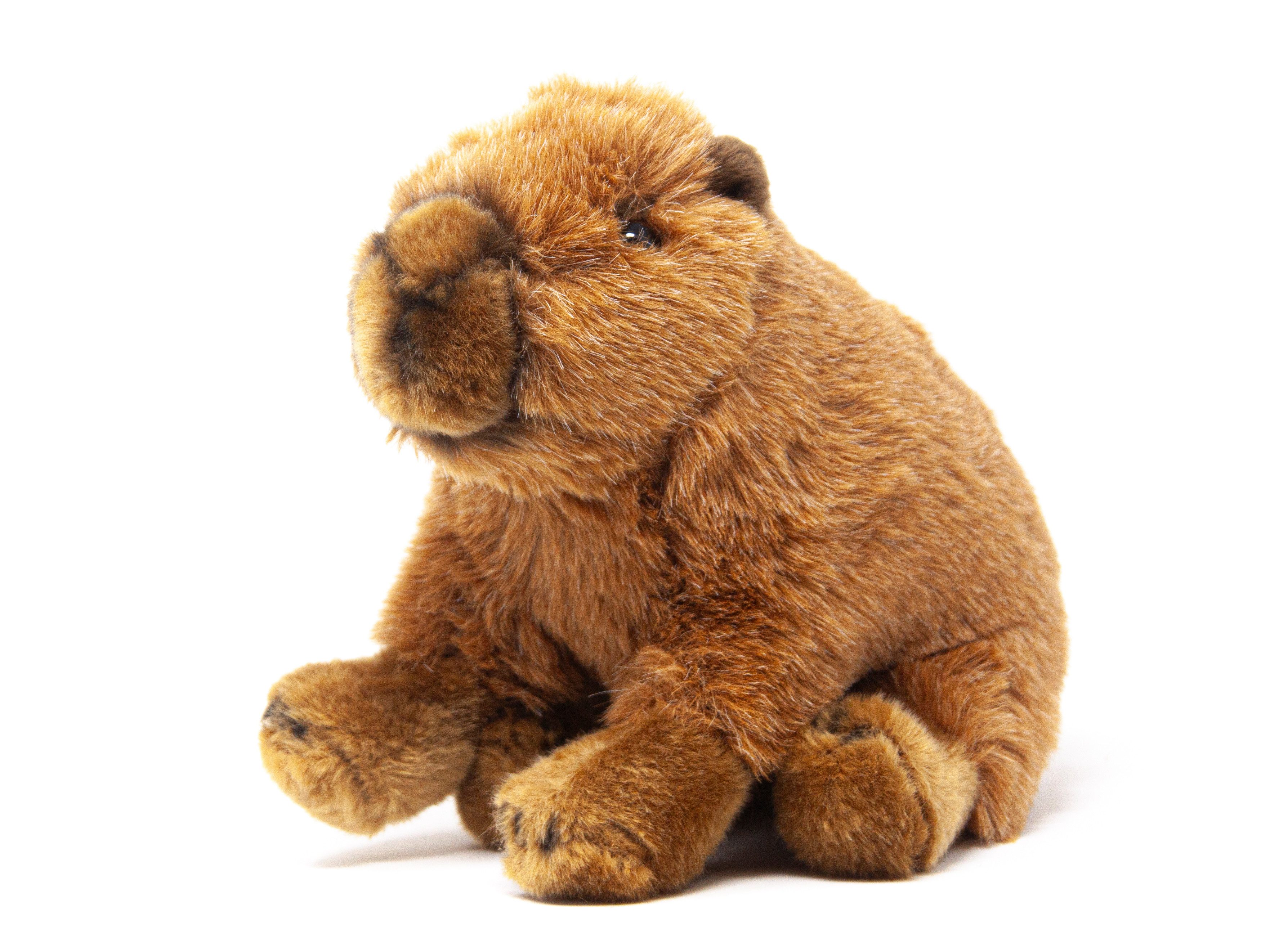 Nature Planet Kuscheltier Nature Planet - Kuscheltier - Plan L - Capybara